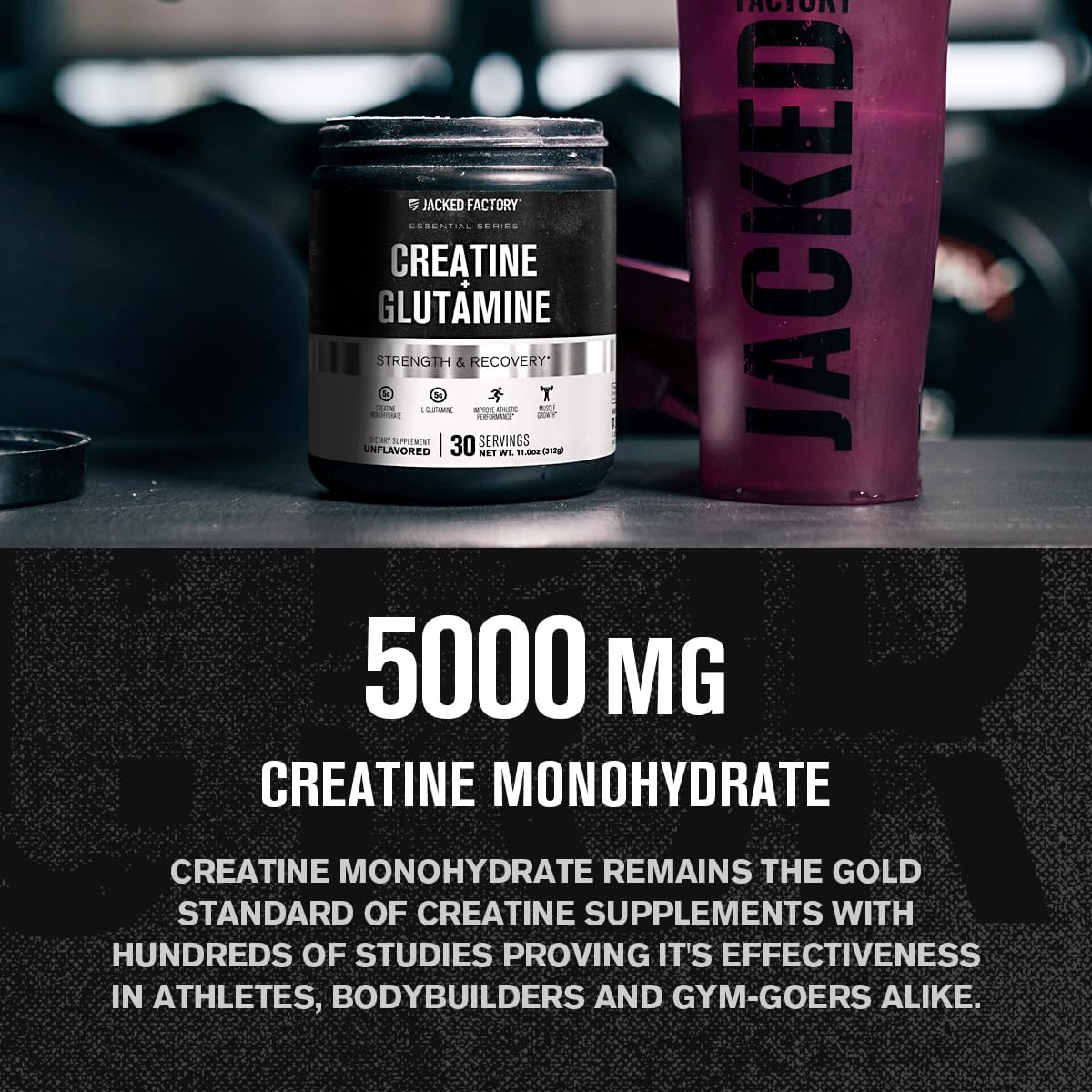 Jacked Factory Creatine + Glutamine: Muscle Recovery & Growth Supplement - 30 Servings, Unflavored