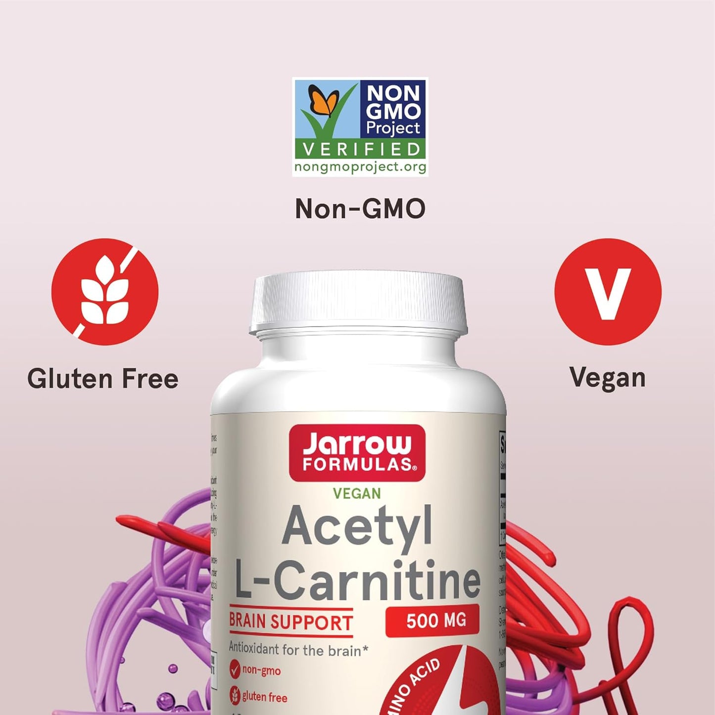 Jarrow Formulas Acetyl L-Carnitine 500mg Capsules – Brain Health & Antioxidant Support, 120 Day Supply (12 Pack)
