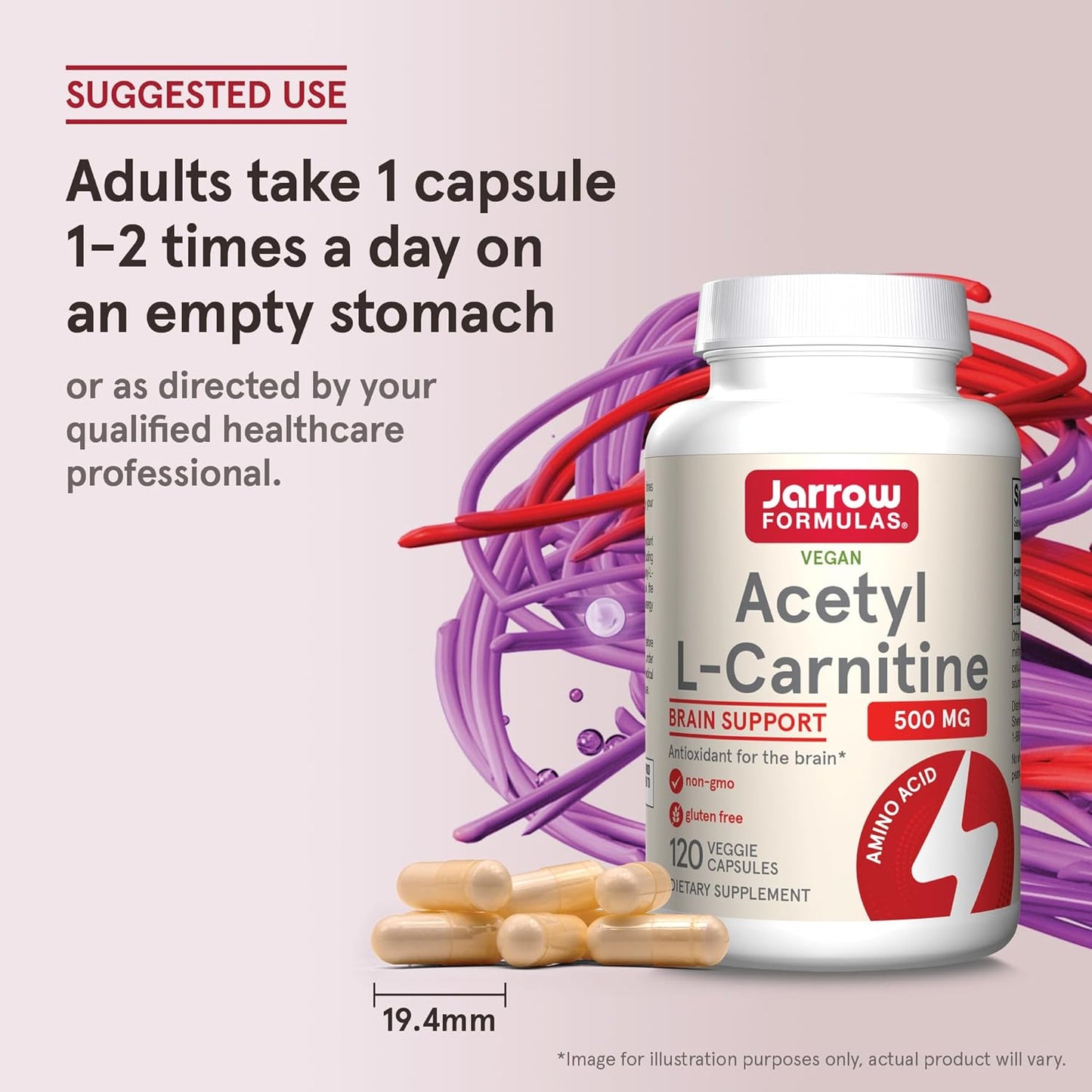 Jarrow Formulas Acetyl L-Carnitine 500mg Capsules – Brain Health & Antioxidant Support, 120 Day Supply (12 Pack)