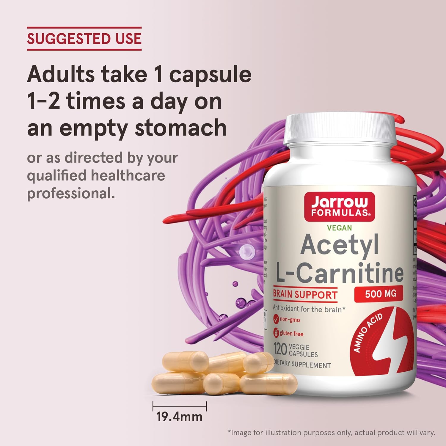 Jarrow Formulas Acetyl L-Carnitine 500mg Capsules – Brain Health & Antioxidant Support, 120 Day Supply (12 Pack)