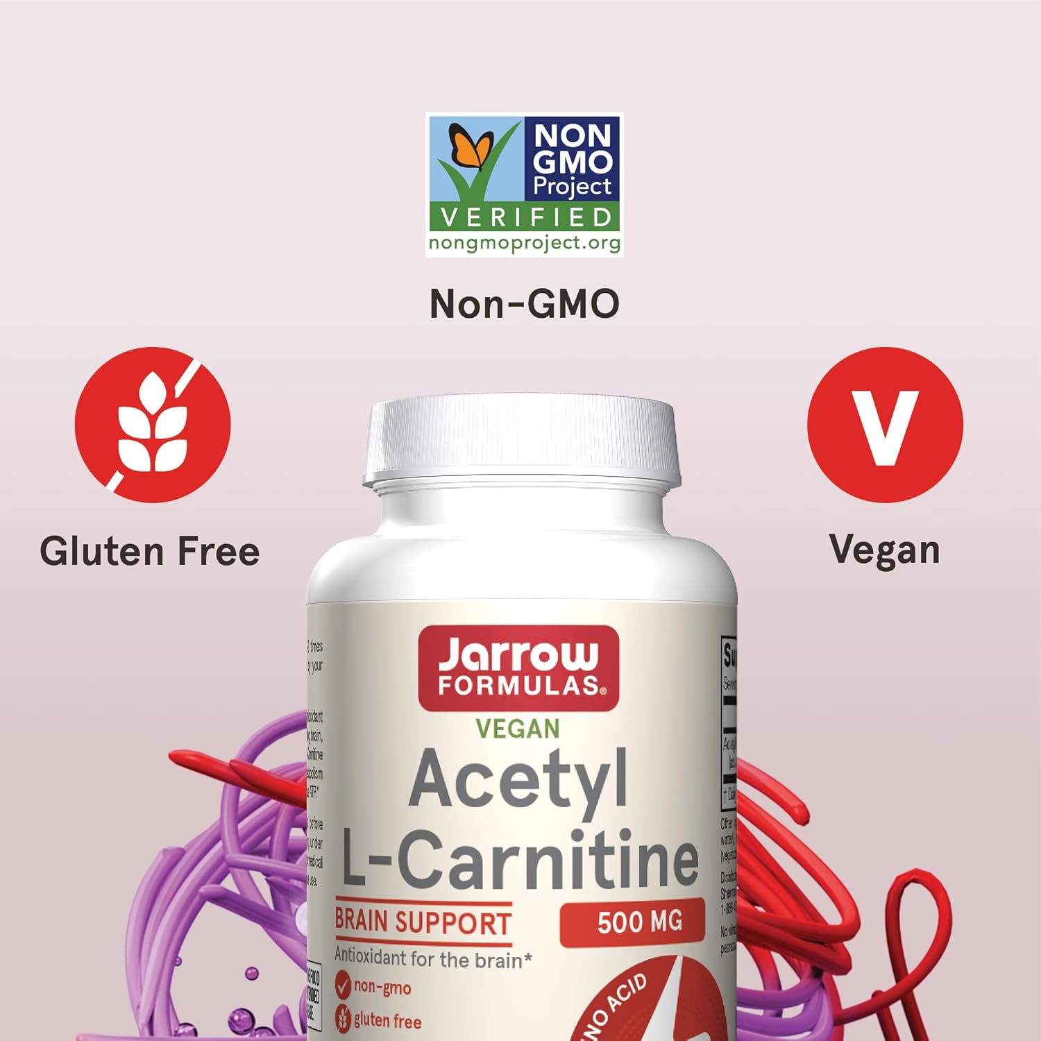 Jarrow Formulas Acetyl L-Carnitine 500mg Veggie Capsules - Brain Health and Antioxidants Supplement - 720 Day Supply (12 Pack)