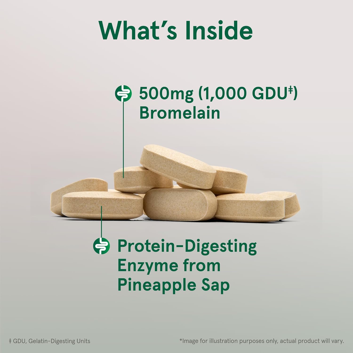 Jarrow Formulas Bromelain 500mg Tablets - Digestive Protein Supplement, 60ct x 12 Pack, 60 Day Supply
