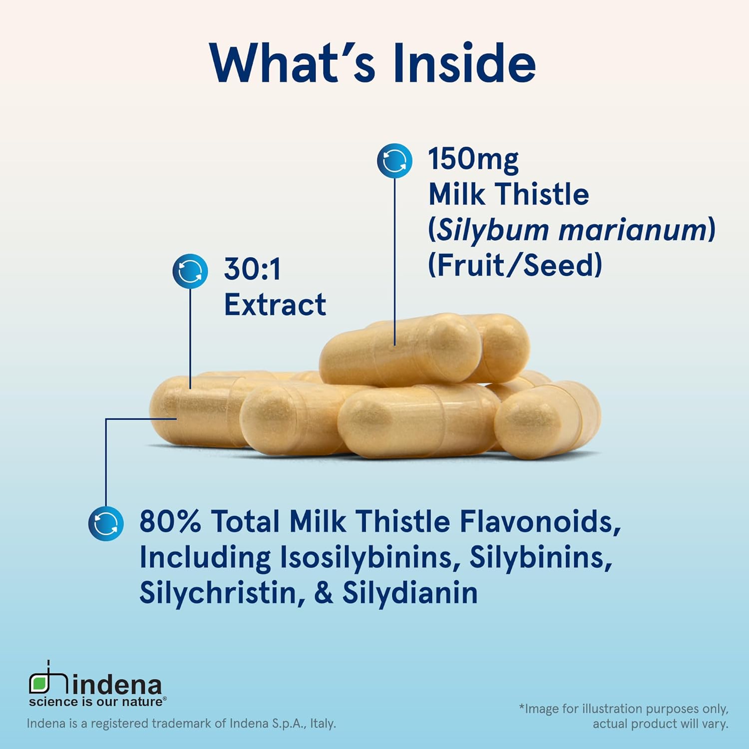 Jarrow Formulas Curcumin 95 500mg - 120 Servings Veggie Caps with Milk Thistle 150mg Silymarin Extract