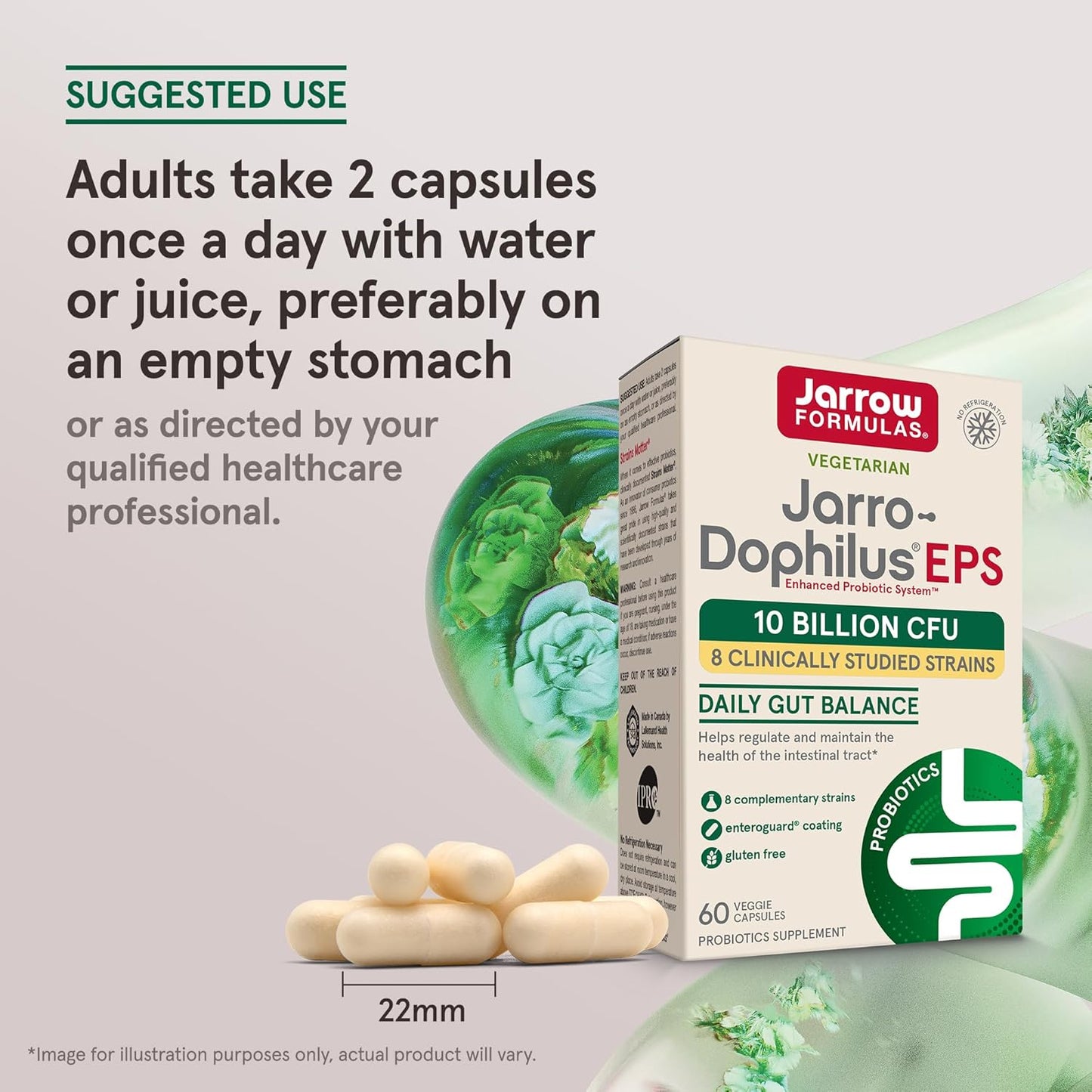 Jarrow Formulas Jarro-Dophilus EPS Probiotics 10 Billion CFU, Intestinal Tract Support, 60 Veggie Capsules (Pack of 12)