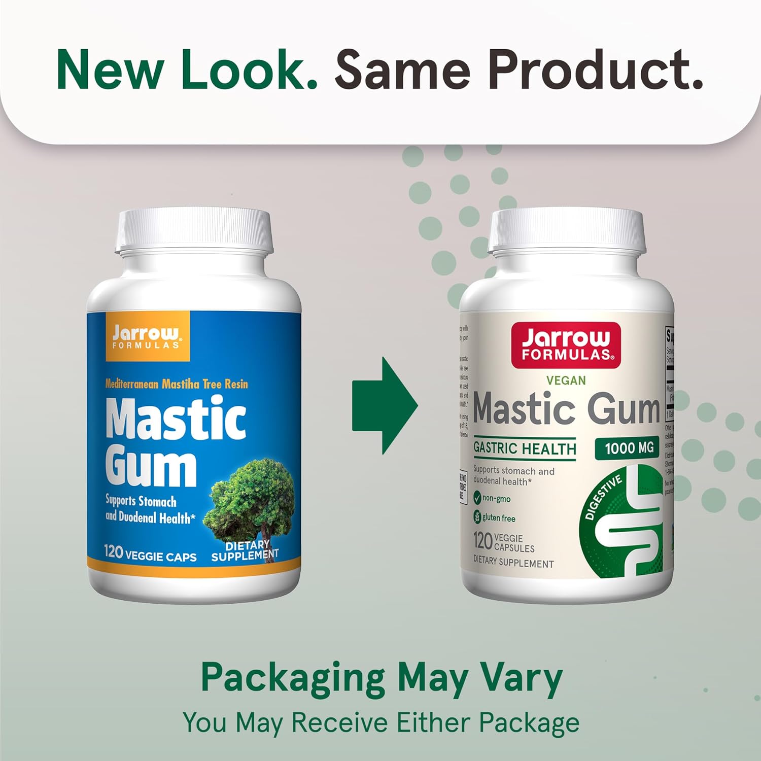 Jarrow Formulas Mastic Gum 1000mg Capsules - Gastrointestinal Health Support - 120 Veggie Caps, 60 Day Supply (Pack of 12)