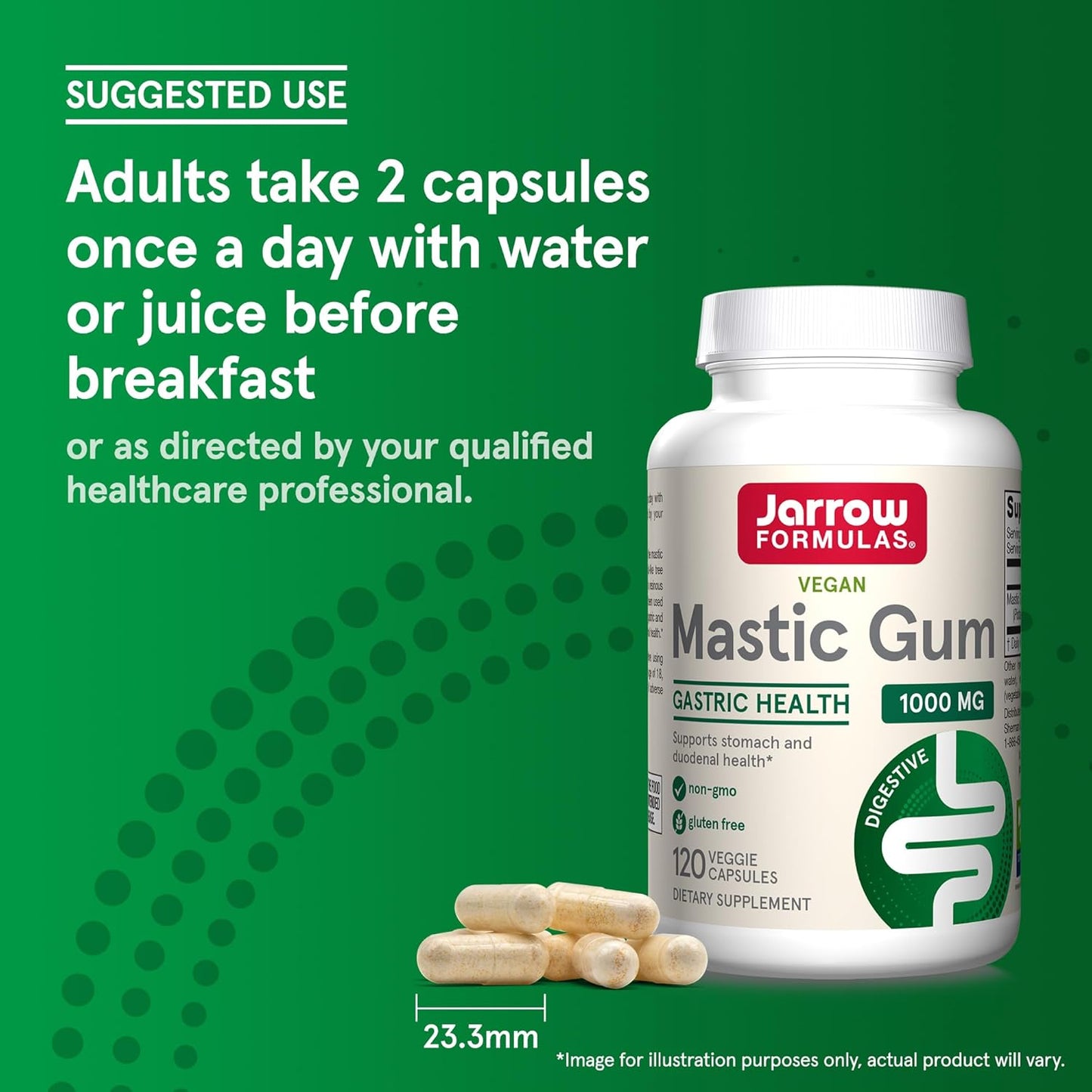 Jarrow Formulas Mastic Gum 1000mg Capsules - Gastrointestinal Health Support - 120 Veggie Caps, 60 Day Supply (Pack of 12)