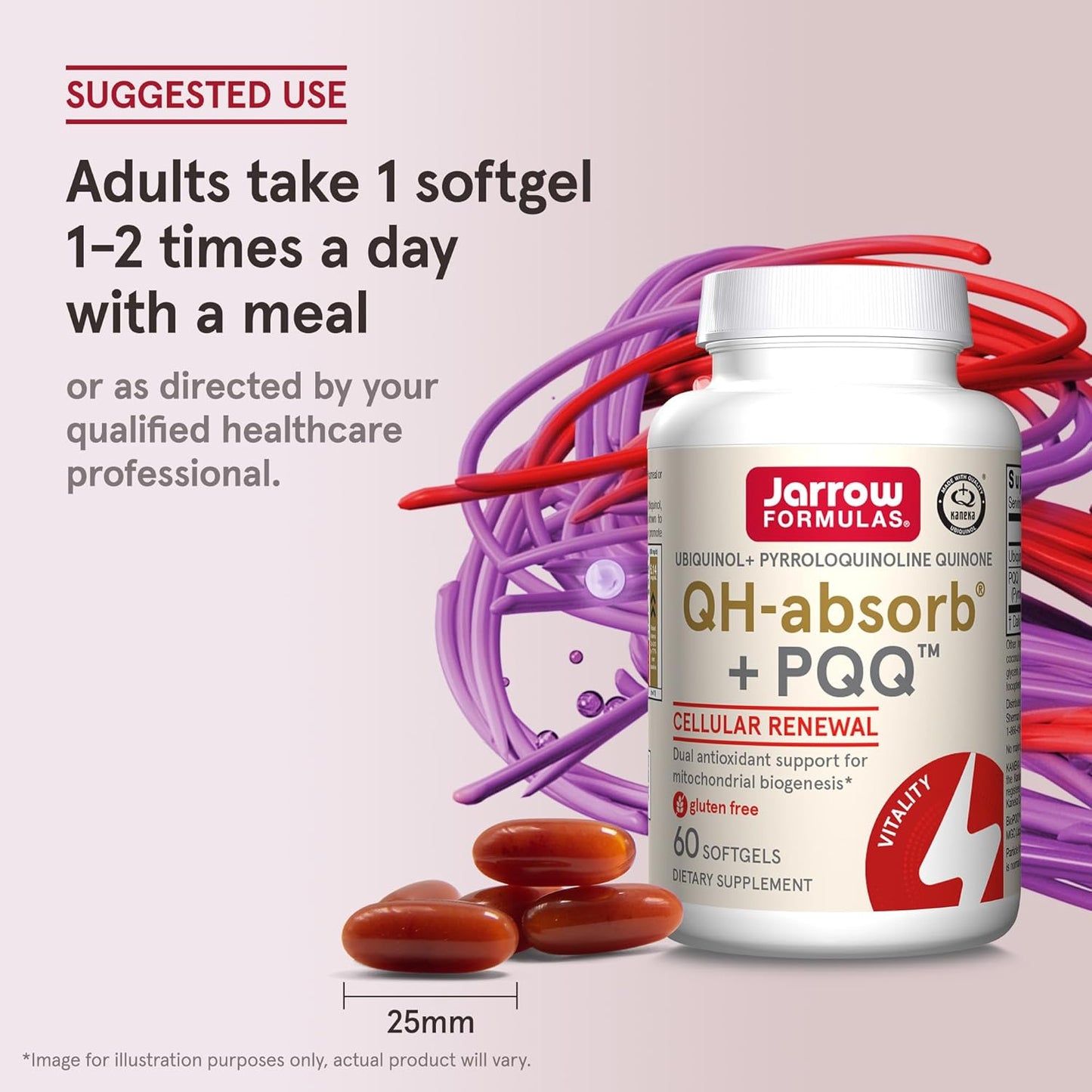 Jarrow Formulas QH-Absorb + PQQ, Antioxidant Dietary Supplement for Cellular Energy and Heart Health, 720 Softgels