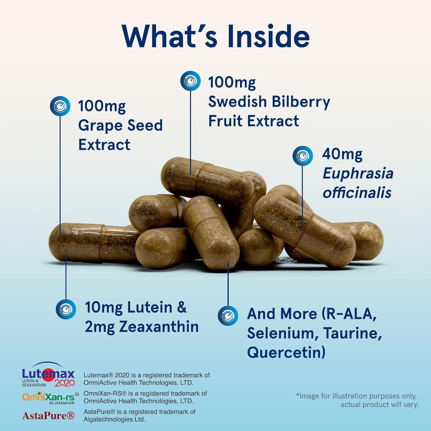 Jarrow Formulas Vision Optimizer Capsules - 180 Count Eye Supplement with Grape Seed Extract, Lutein, Zeaxanthin - Non-GMO Gluten Free Dietary Supplement