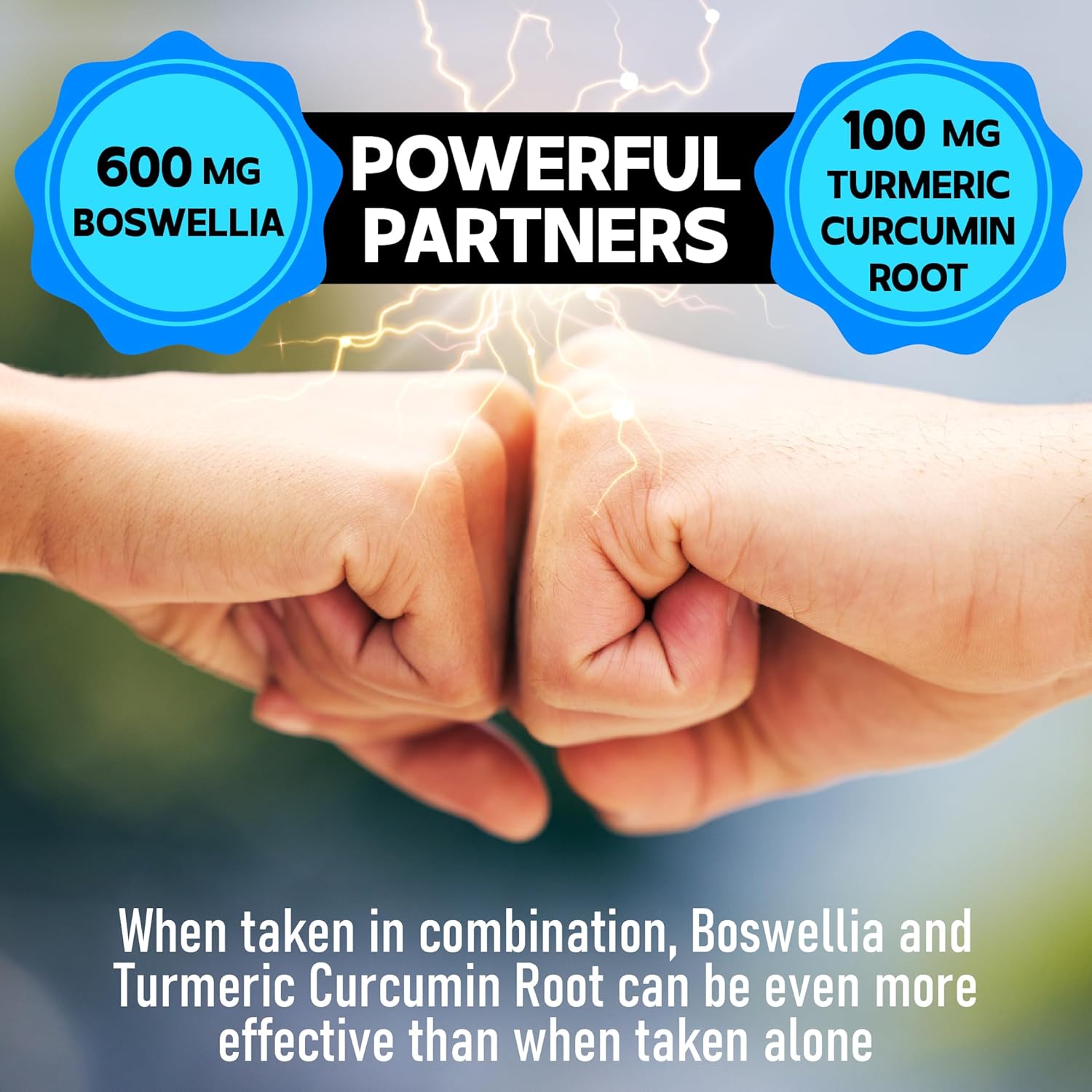 Joint and Immune Support Supplement - DEDICAD Boswellia Serrata Extract with Turmeric, Quercetin, Citrus, Ginger, White Willow, Alfalfa - 120 Capsules