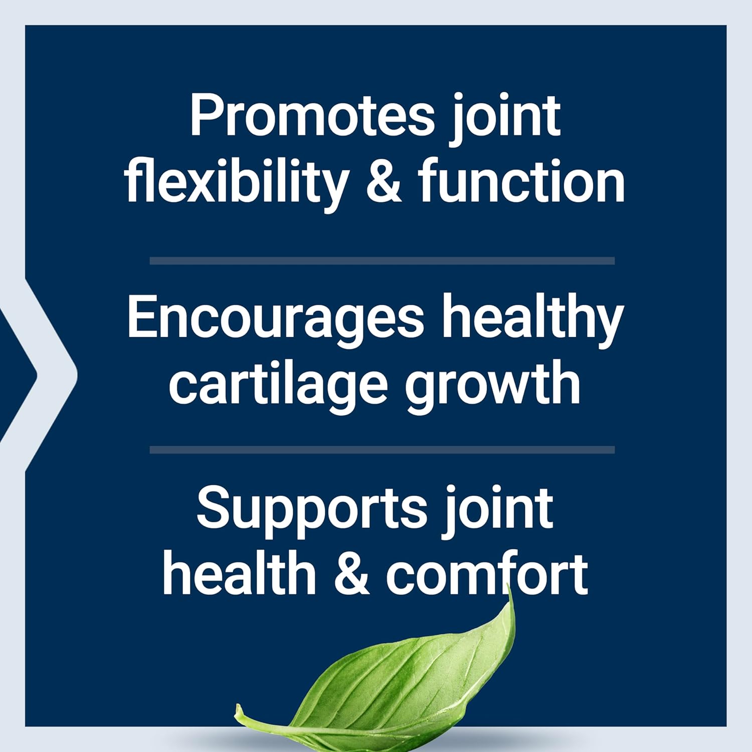 Joint Comfort & Mobility Supplement: Life Extension NT2 Collagen™, Gluten-Free, Non-GMO, 60 Small Capsules, 1 Daily
