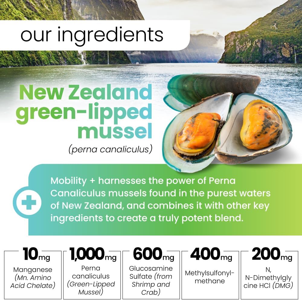 Joint & Connective Tissue Support Formula with Perna Canaliculus, Glucosamine, MSM, and DMG - 90 Tablets for Inflammation and Mobility