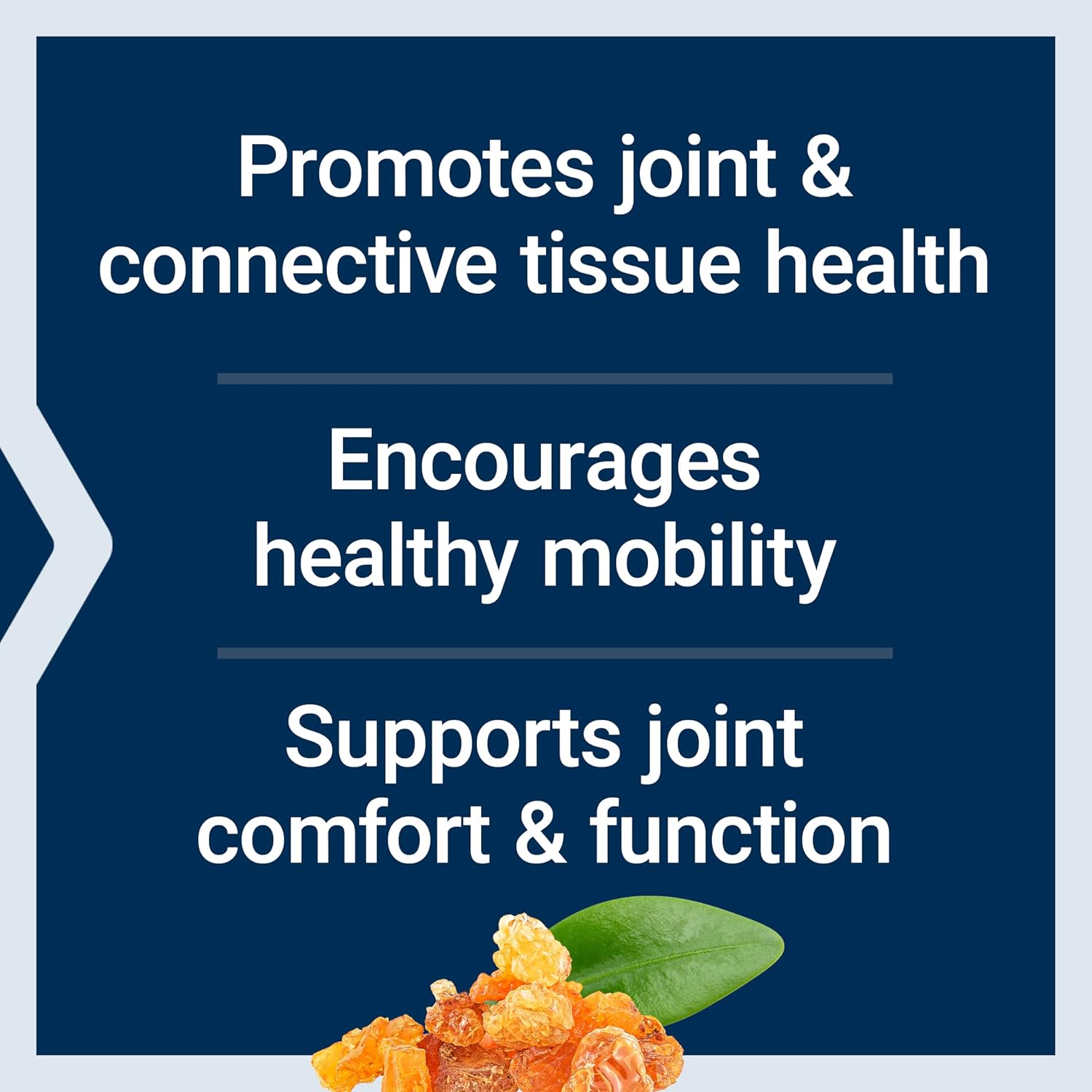 Joint Health Supplement with NT2 Collagen, AprèsFlex, Glucosamine, and Boswellia - 60 Capsules