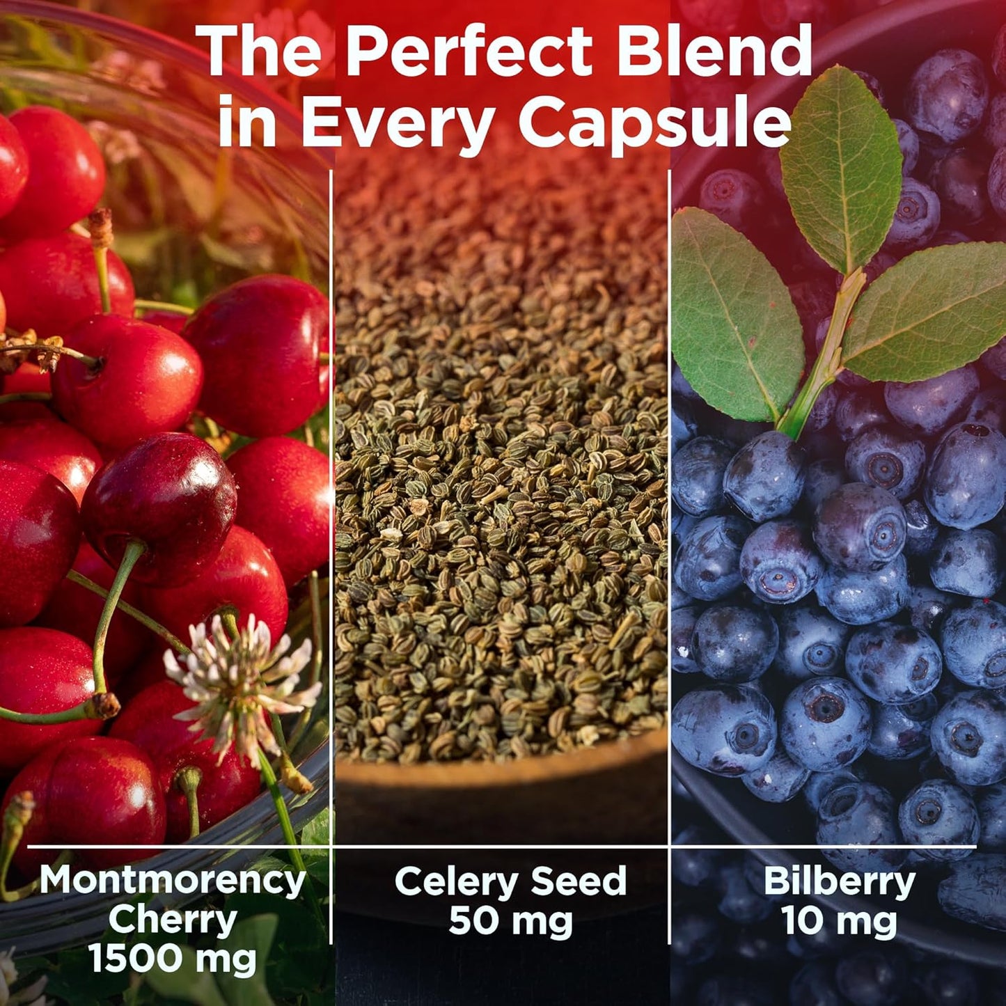 Joint Support and Muscle Recovery Capsules with Tart Cherry, Celery Seed, and Bilberry Extracts - 90 Count - Made in USA