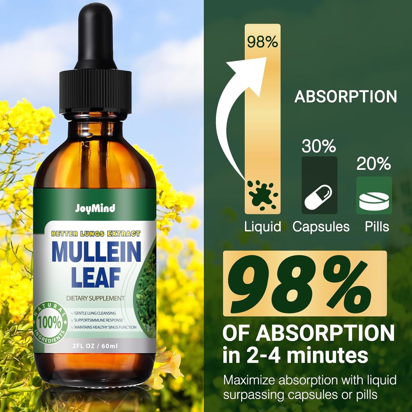 JoyMind Mullein Leaf Extract Drops - 2800MG Lung Cleanse & Detox - Respiratory Health & Immunity Support - 2 FL.OZ