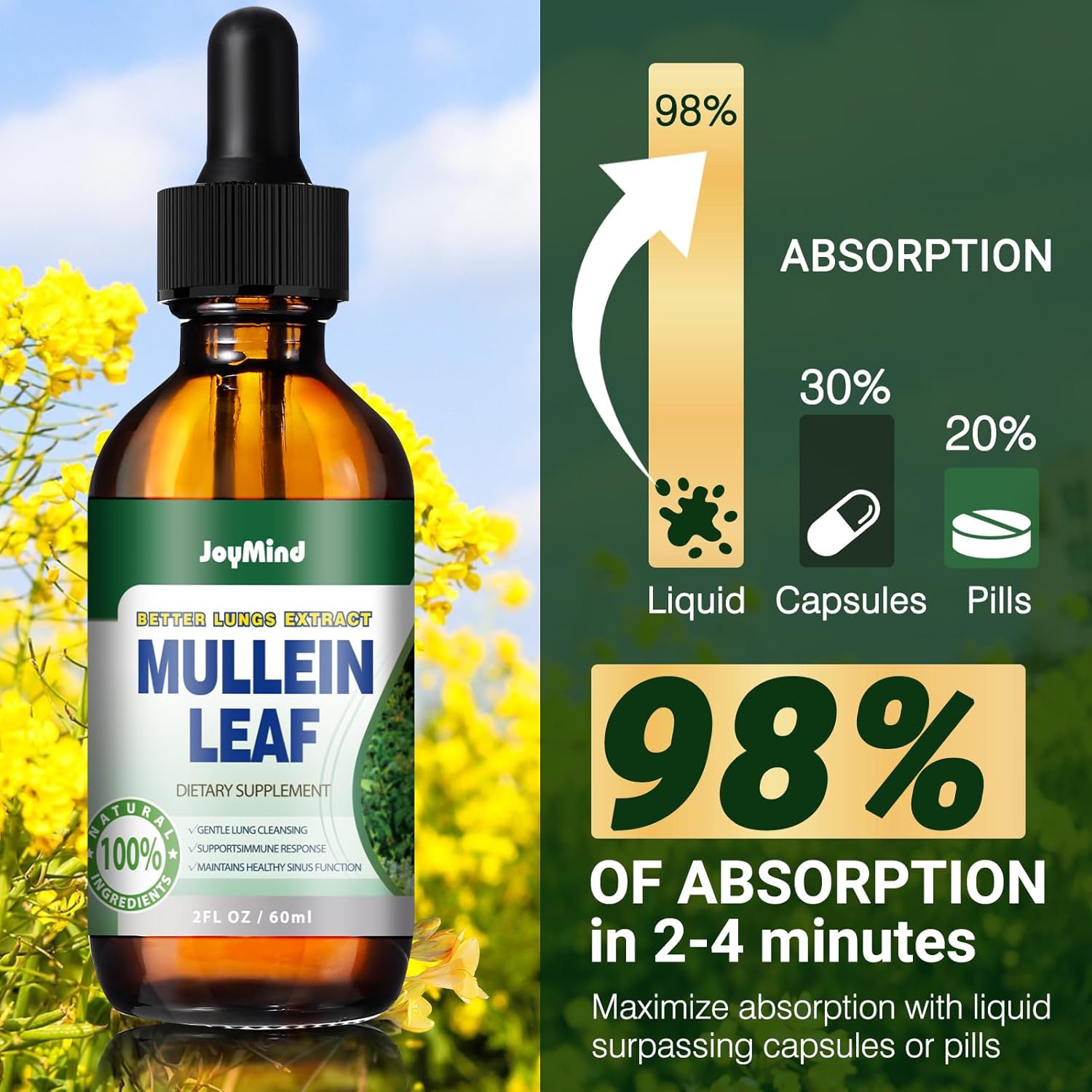 JoyMind Mullein Leaf Extract Drops - 2800MG Lung Cleanse & Detox - Respiratory Health & Immunity Support - 2 FL.OZ