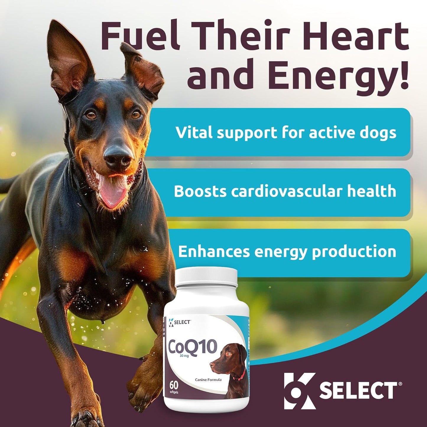 K9 CoQ10 Soft Gel Supplement for Dogs, 30mg - 60 Soft Gels per Bottle - Pet Nutritional Softgels for Heart, Cardiovascular & Gum Health, Energy Boost