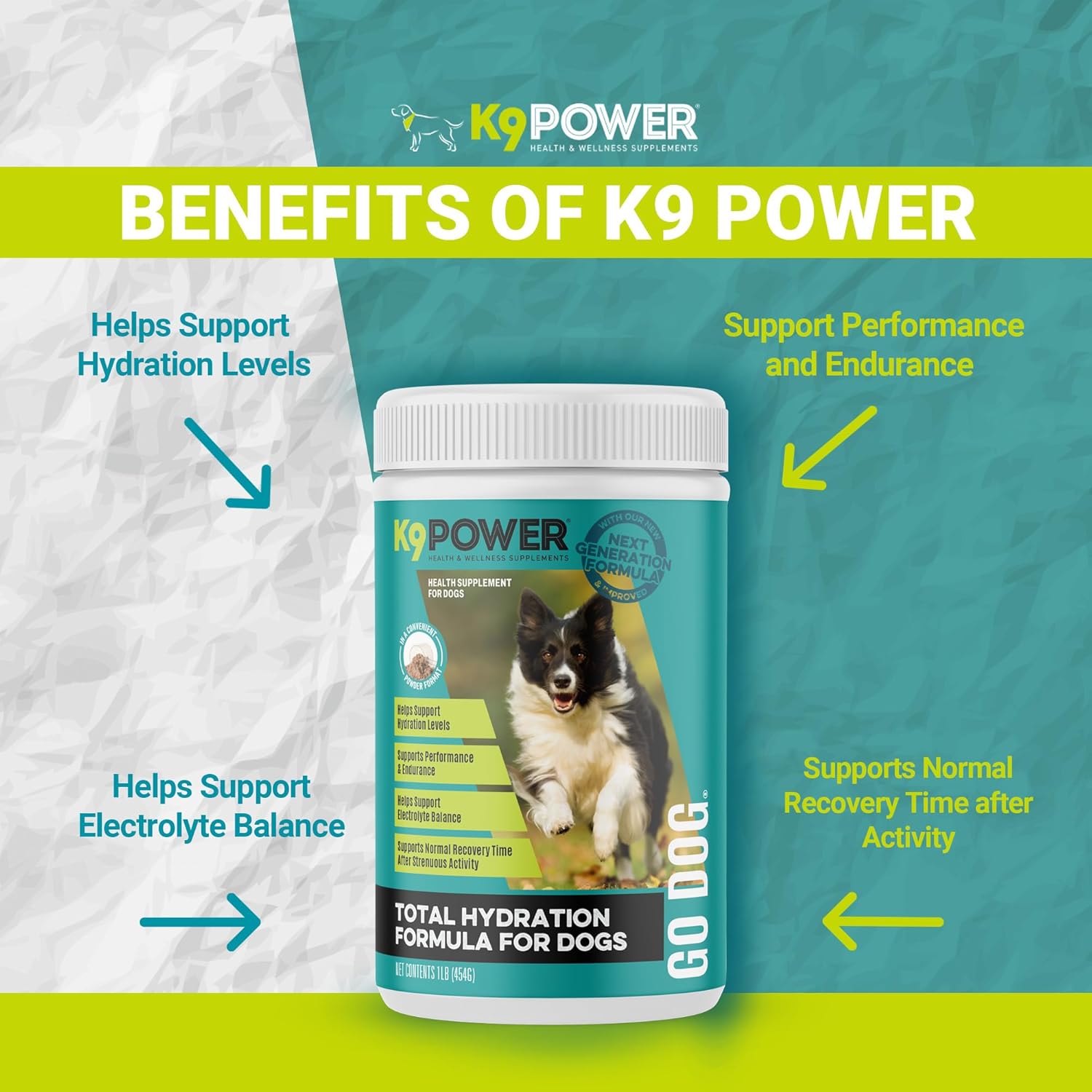 K9 Power Go Dog Hydration & Performance Drink Mix 1 lb - Supplement for Active Dogs, Muscle Function, Endurance, Recovery