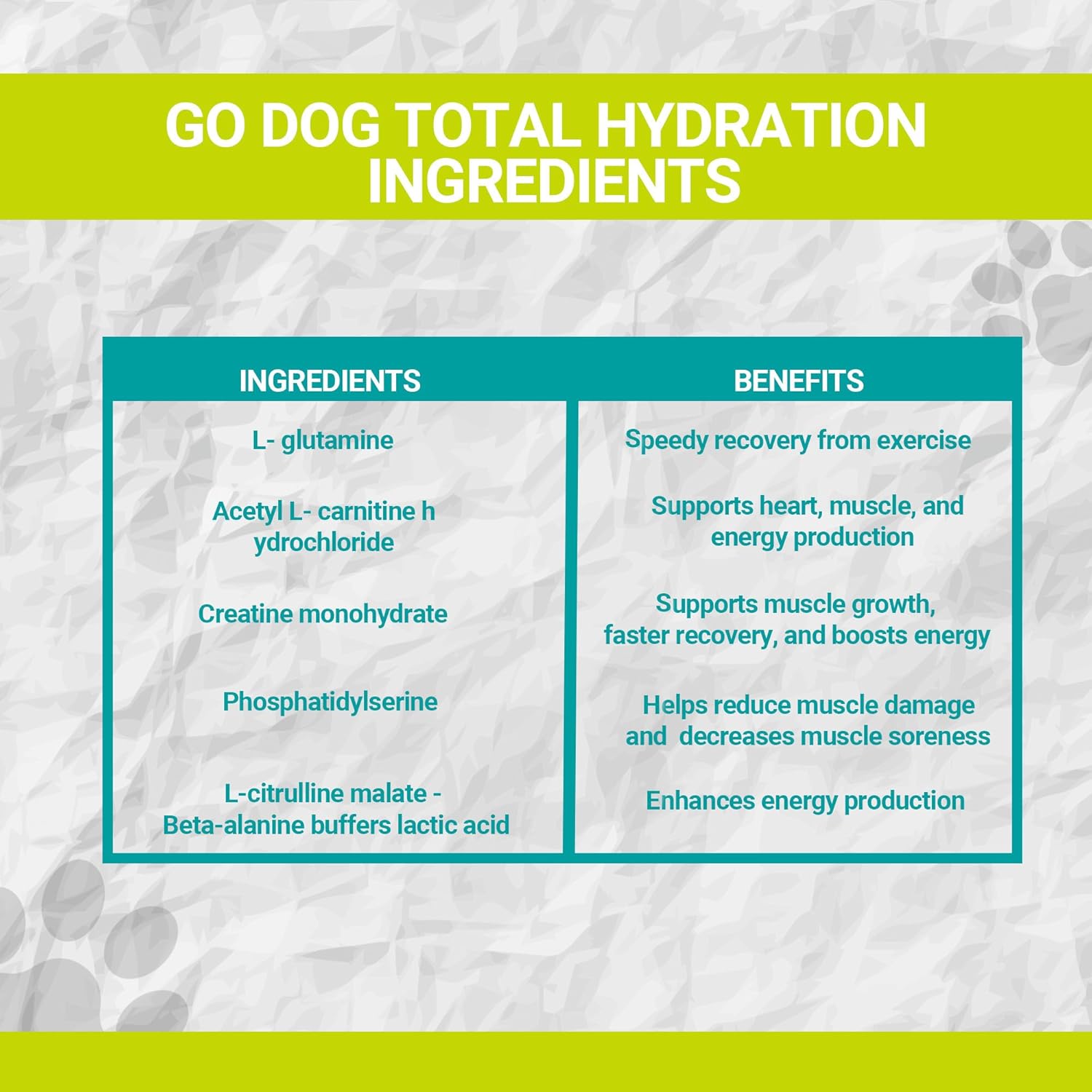 K9 Power Go Dog Hydration & Performance Drink Mix 1 lb - Supplement for Active Dogs, Muscle Function, Endurance, Recovery