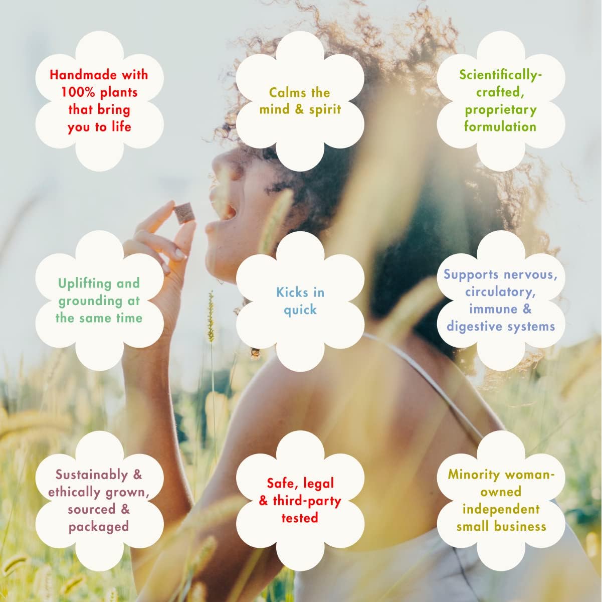 KA! KA Kanna Daily Chews - 30mg Sceletium Tortuosum Extract - Plant Based Stress Relief - Fast Acting Vegan Formula - 10 Count