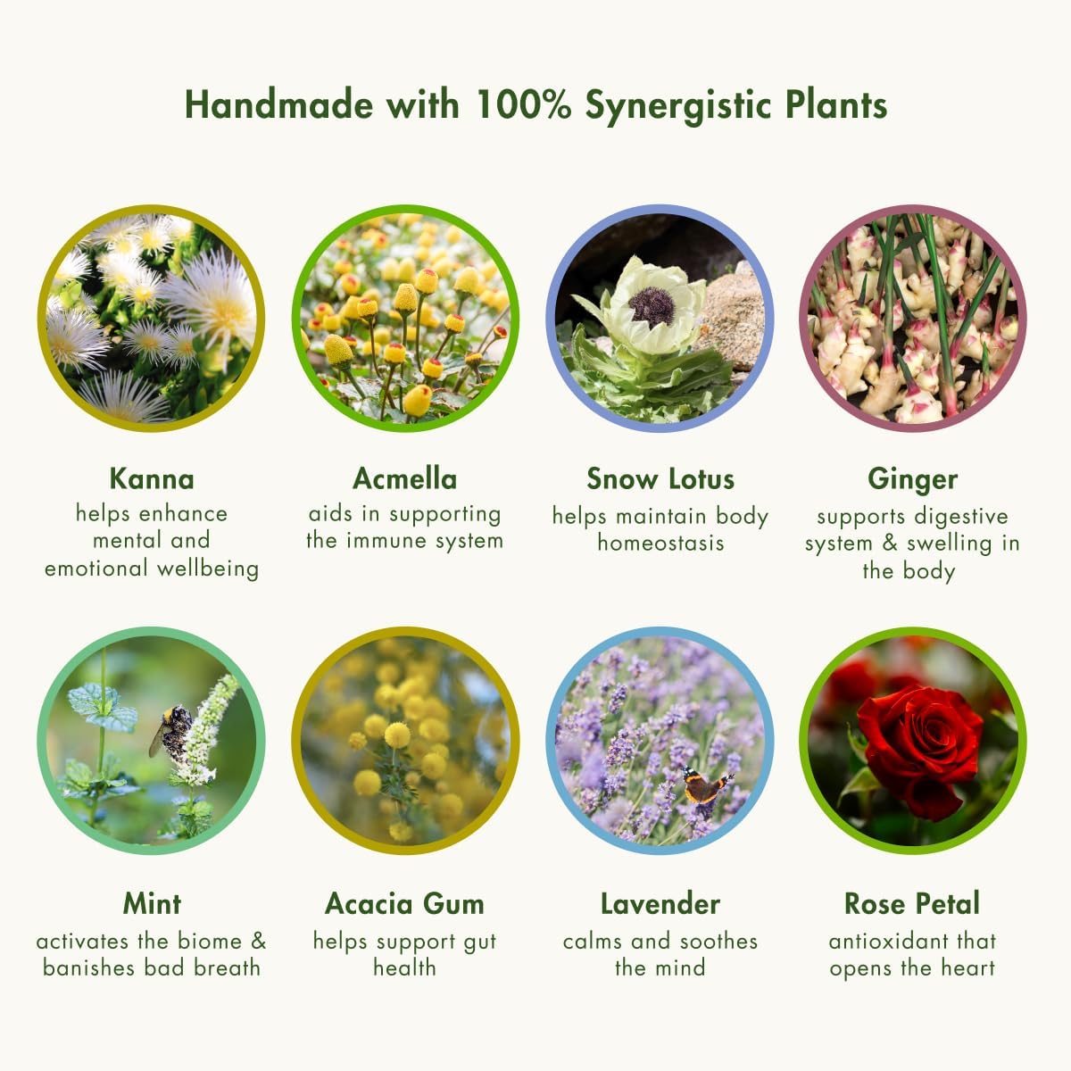 KA! KA Kanna Daily Chews - 30mg Sceletium Tortuosum Extract - Plant Based Stress Relief - Fast Acting Vegan Formula - 10 Count