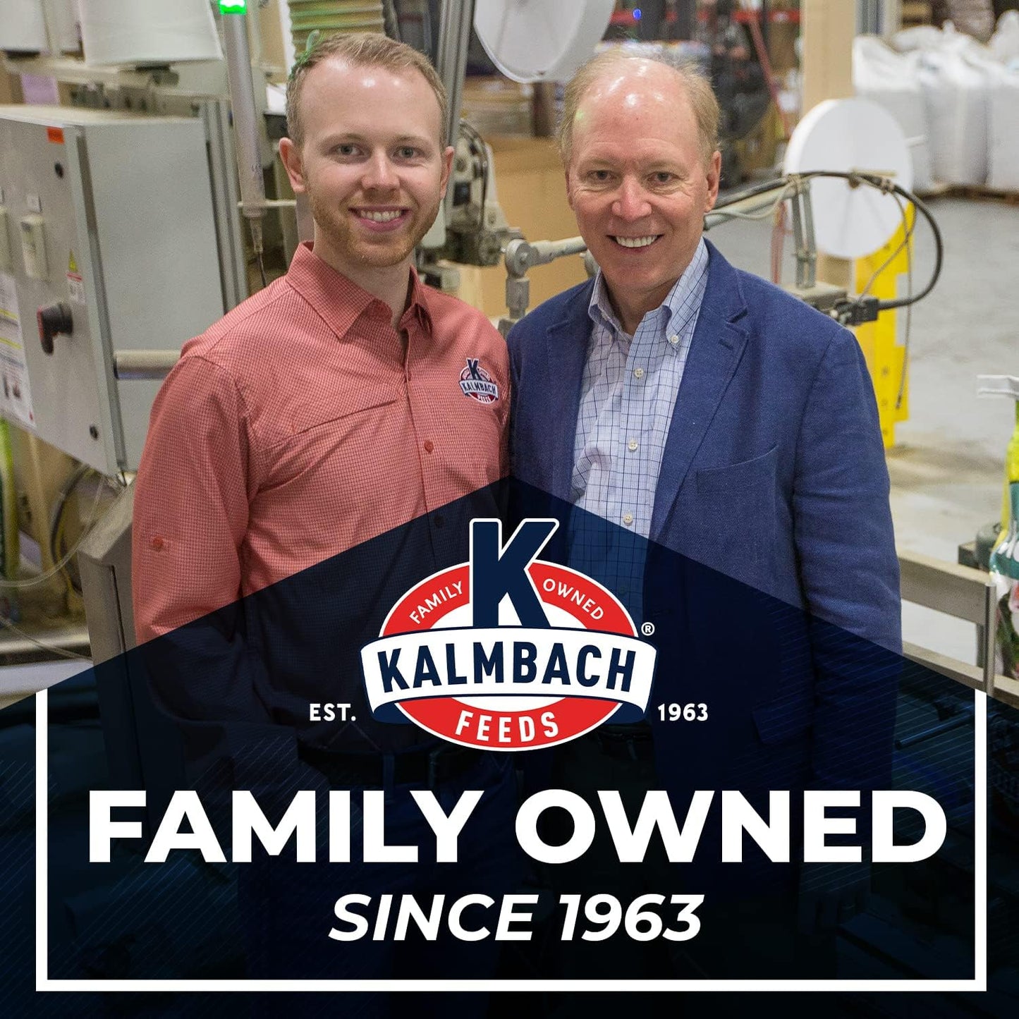 Kalmbach Feeds 3-in-1 Block for Cattle and Horses, 40 lb - All-in-One Nutrition Supplement for Livestock