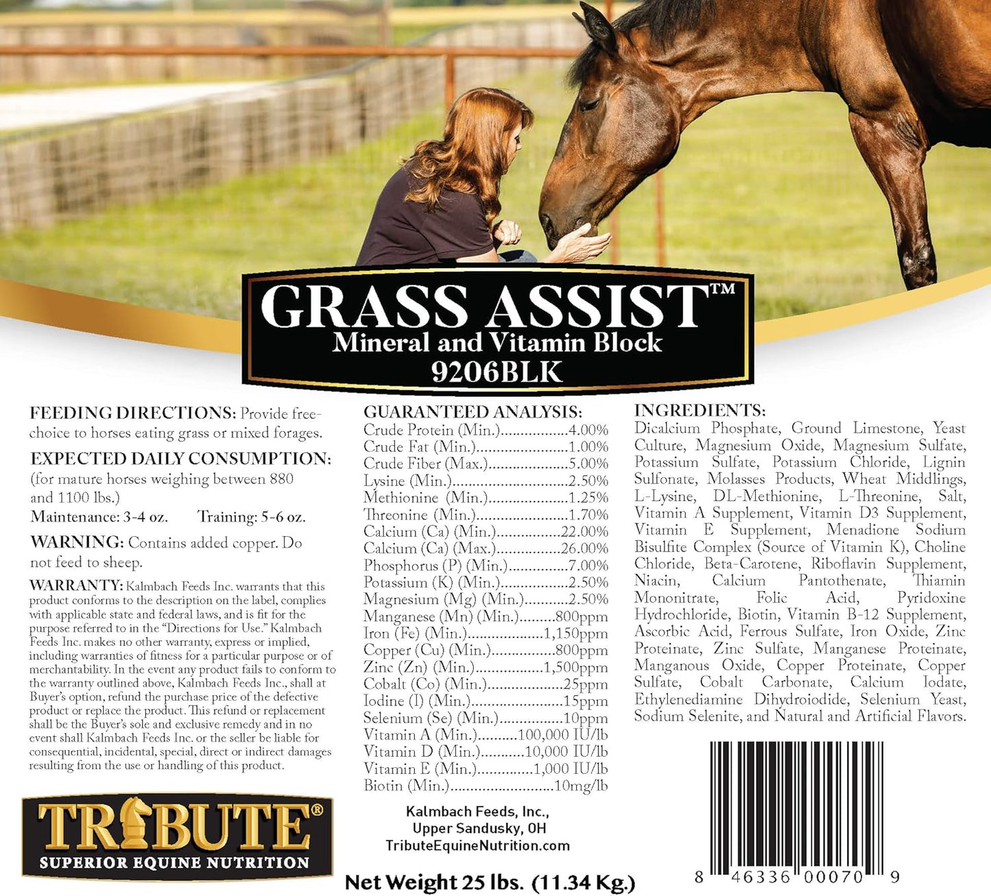 Kalmbach Feeds Horse Mineral and Vitamin Block with Grass Assist, 25 lb Size