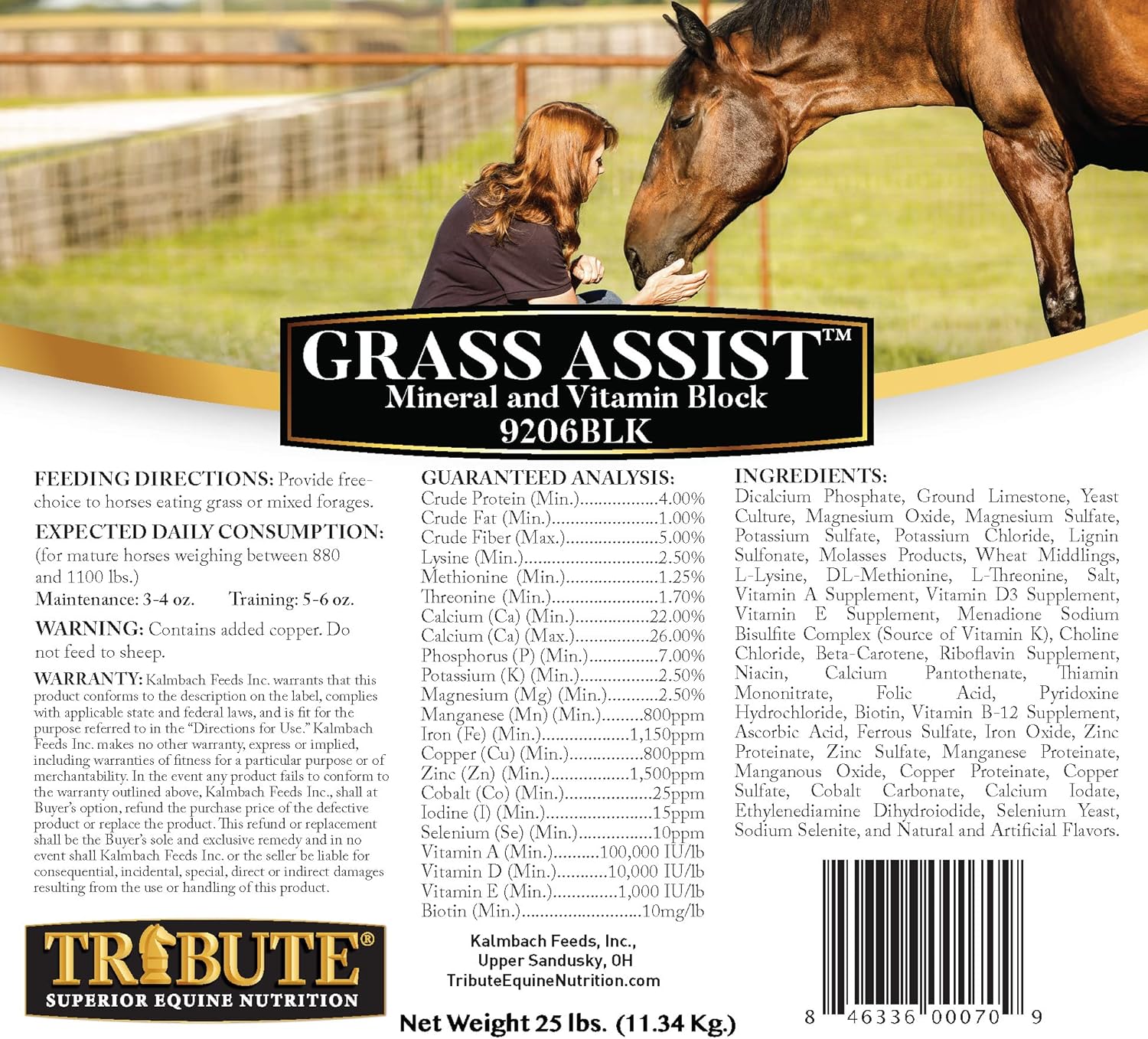 Kalmbach Feeds Horse Mineral and Vitamin Block with Grass Assist, 25 lb Size