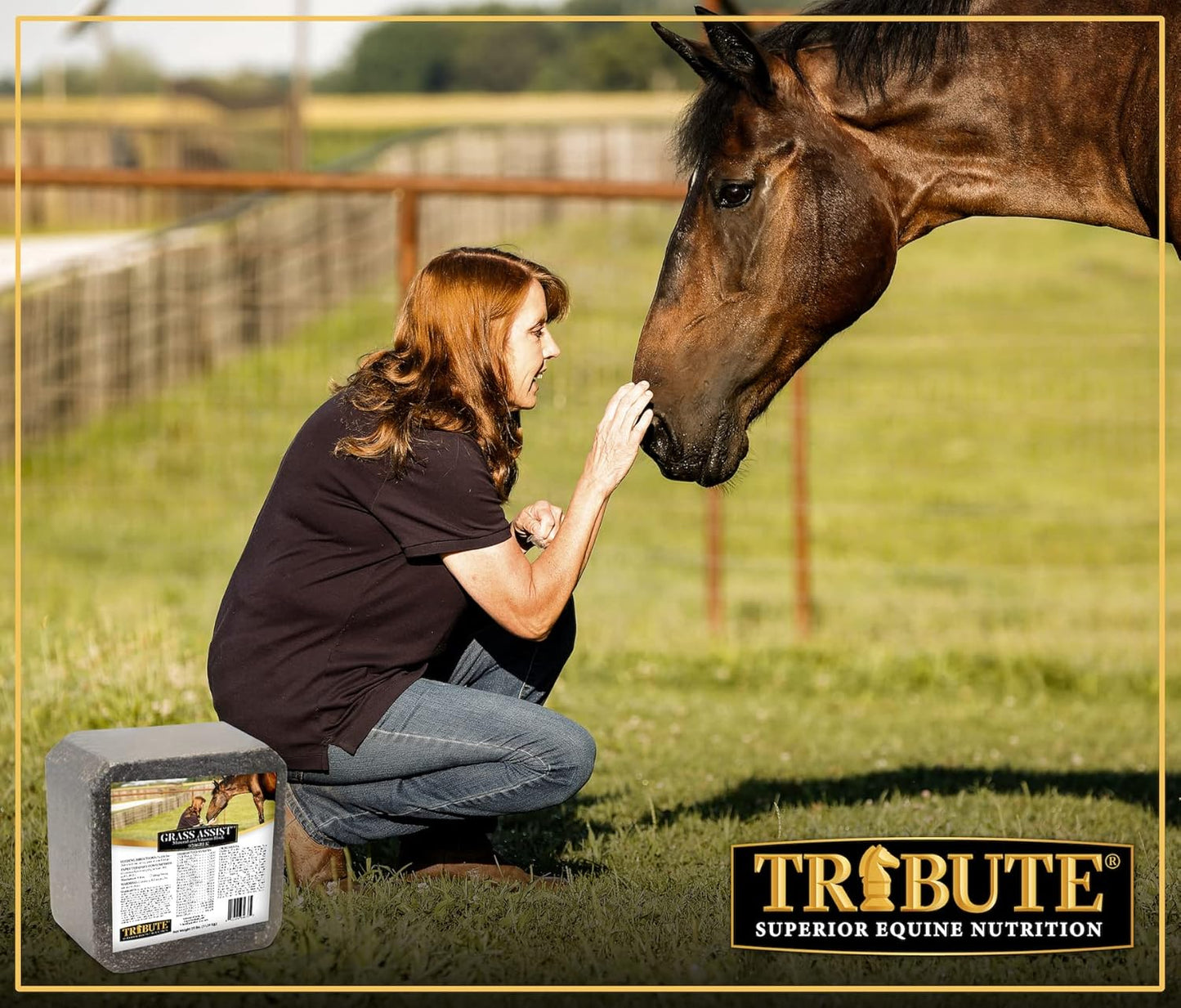 Kalmbach Feeds Horse Mineral and Vitamin Block with Grass Assist, 25 lb Size