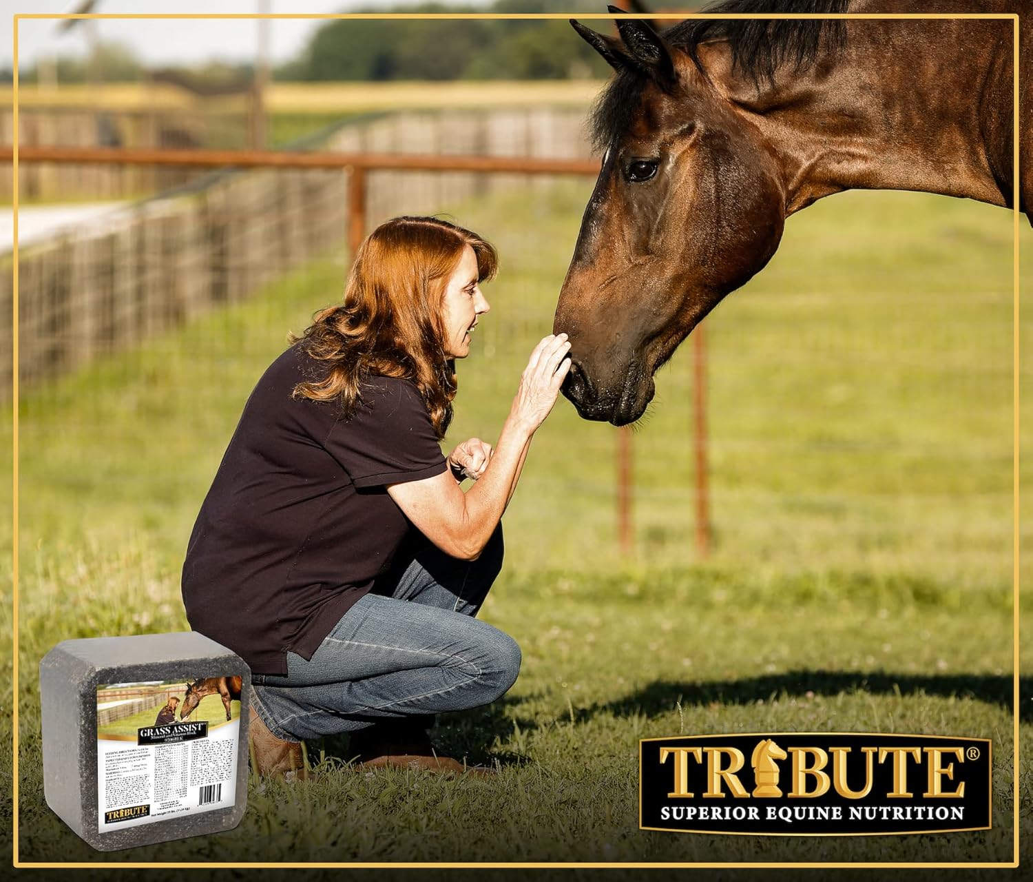 Kalmbach Feeds Horse Mineral and Vitamin Block with Grass Assist, 25 lb Size
