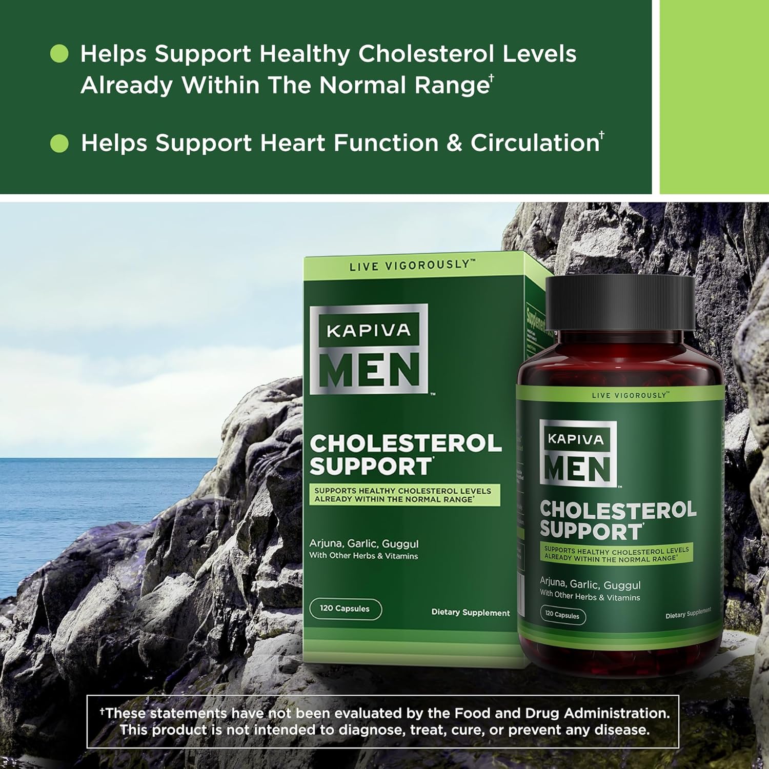 KAPIVA MEN Cholesterol Support Supplement with Arjuna, Garlic, Guggul - 60 Day Supply, 120 Capsules - Promotes Healthy Cholesterol Levels