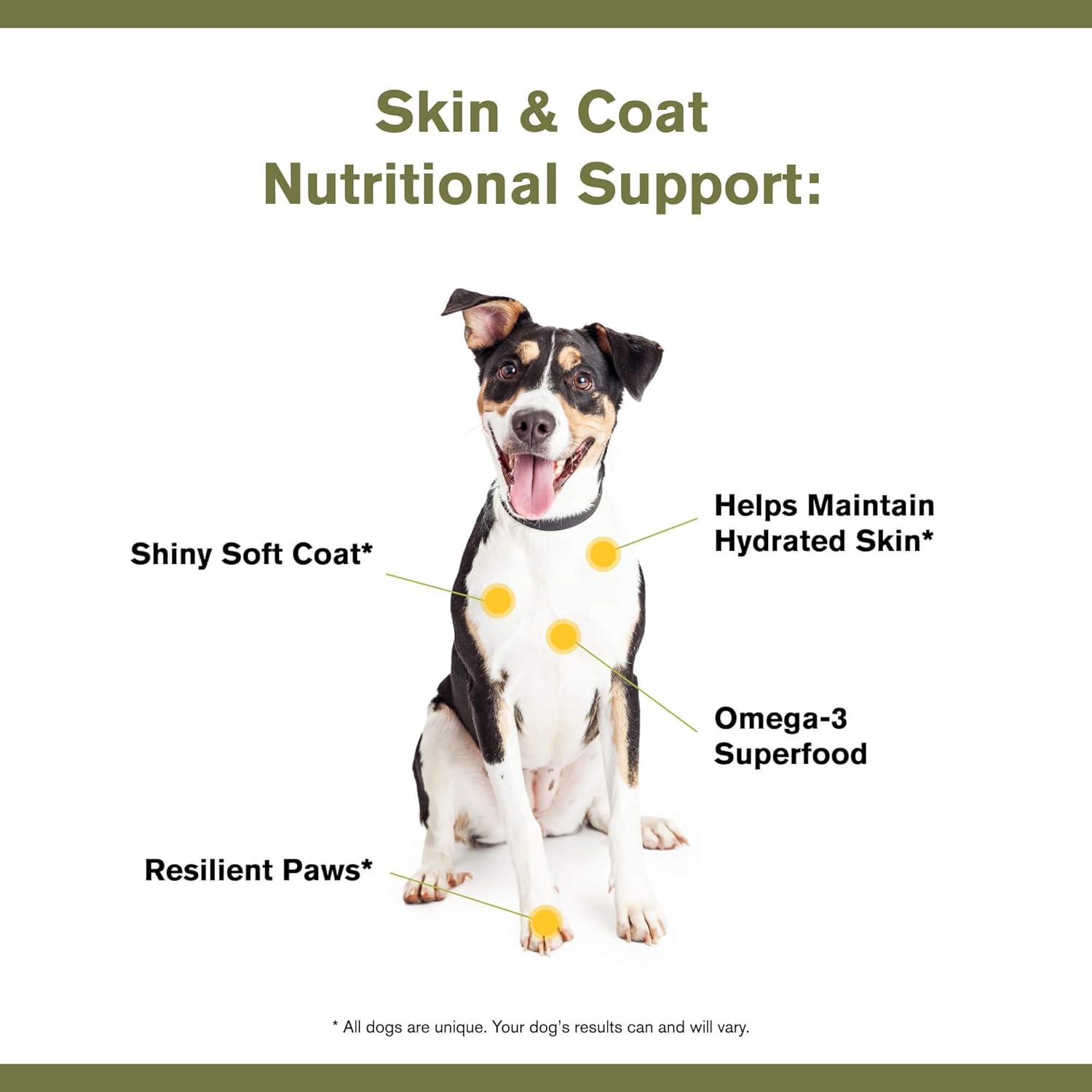 Katherine Heigl Badlands Ranch Canine Supplement with Omega-3 Fatty Acids and Organic Ingredients for Healthy Skin and Coat - 30 Scoops