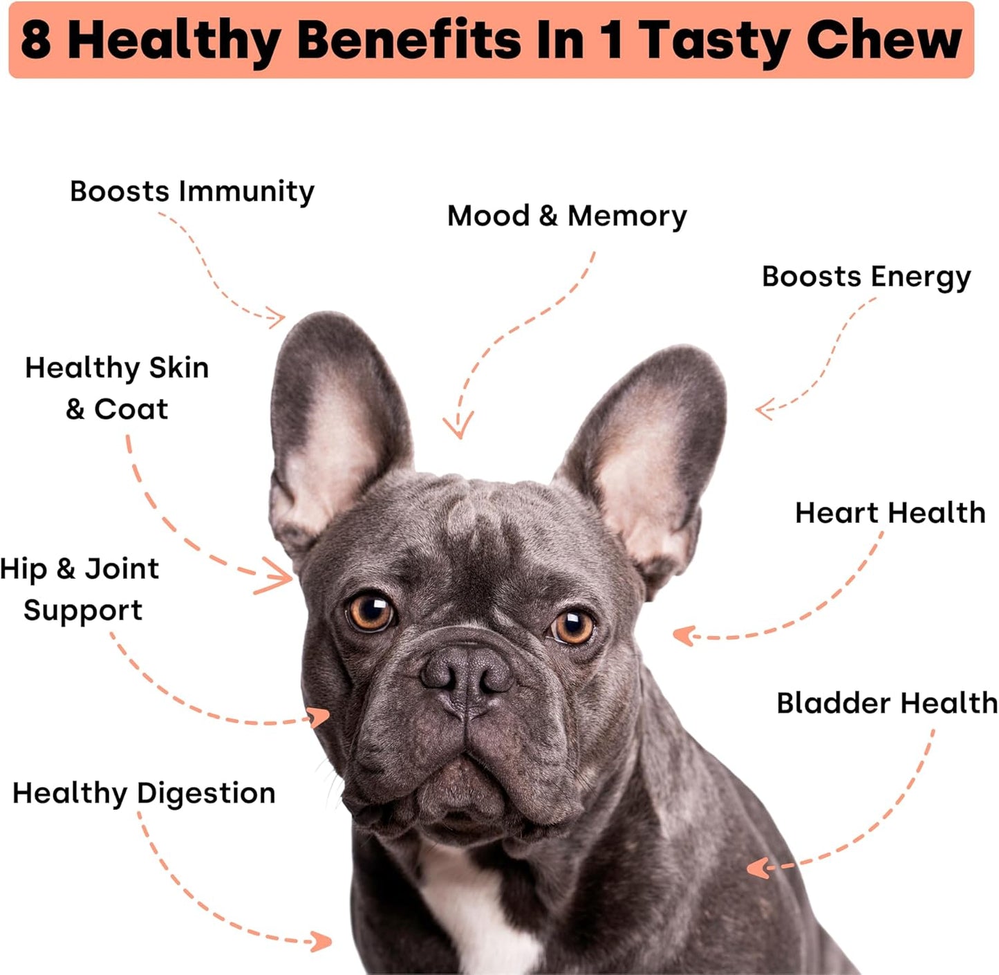 Kayode Daily Multi - Dog Multivitamin Chew for Joint, Digestive, Heart, Brain, Urinary Health & More - Nutrient Booster for Dogs & Puppies