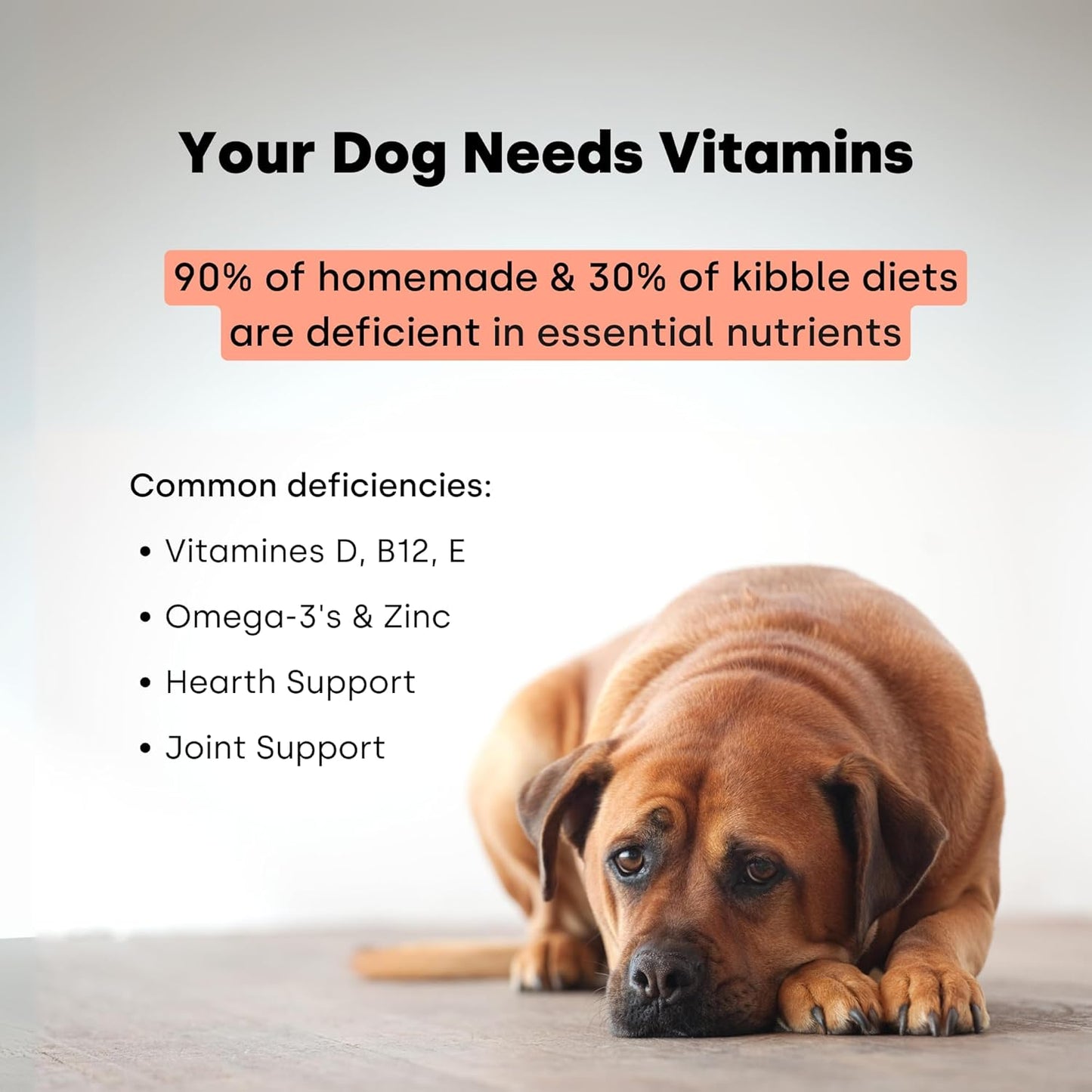 Kayode Daily Multi - Dog Multivitamin Chew for Joint, Digestive, Heart, Brain, Urinary Health & More - Nutrient Booster for Dogs & Puppies