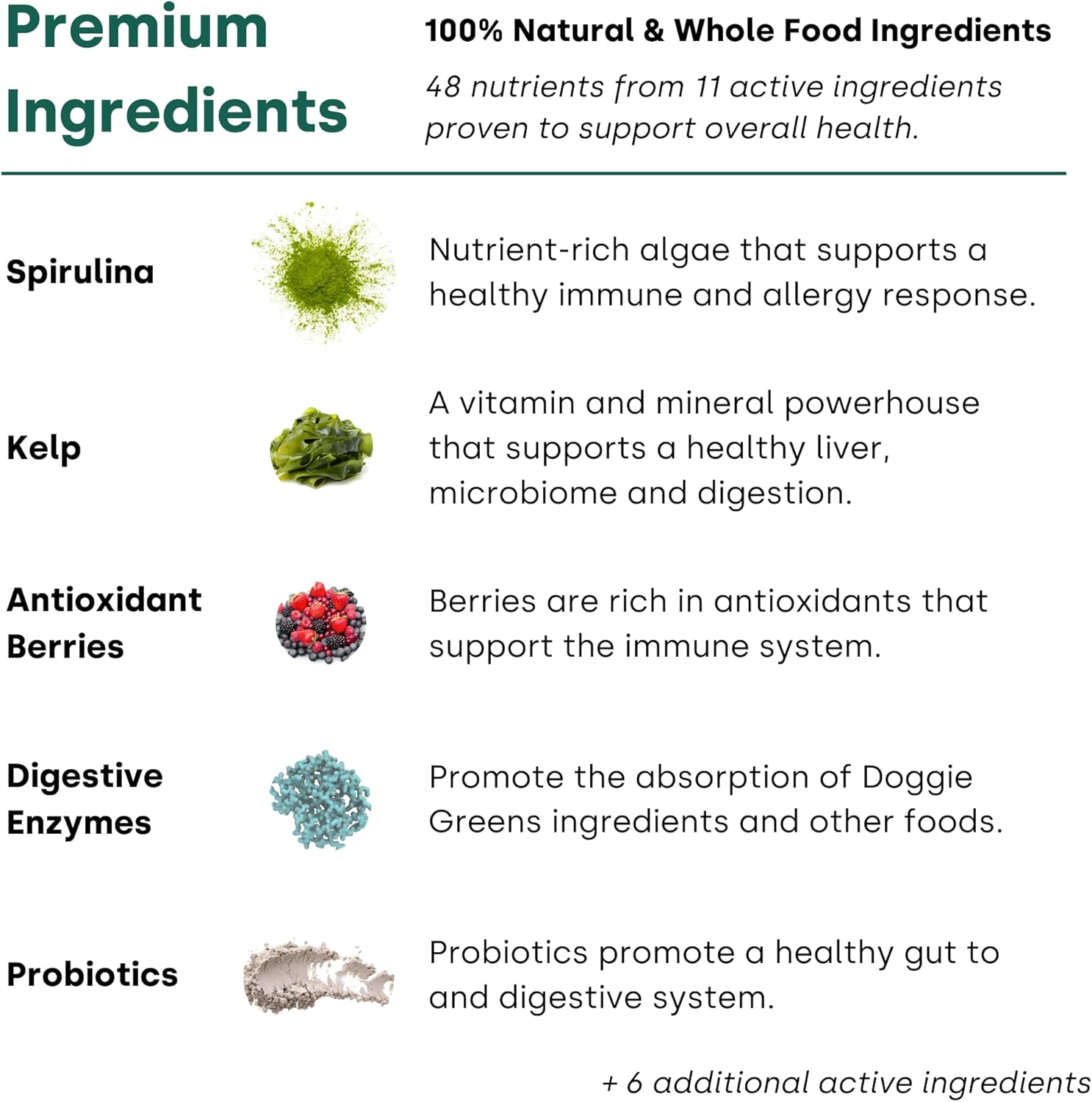 Kayode Doggie Greens - 6-in-1 Super Greens Dog Vitamins Chews with Spirulina, Kelp & Antioxidant Berry Mix, No Messy Powder - Natural Dog Supplements & Probiotics