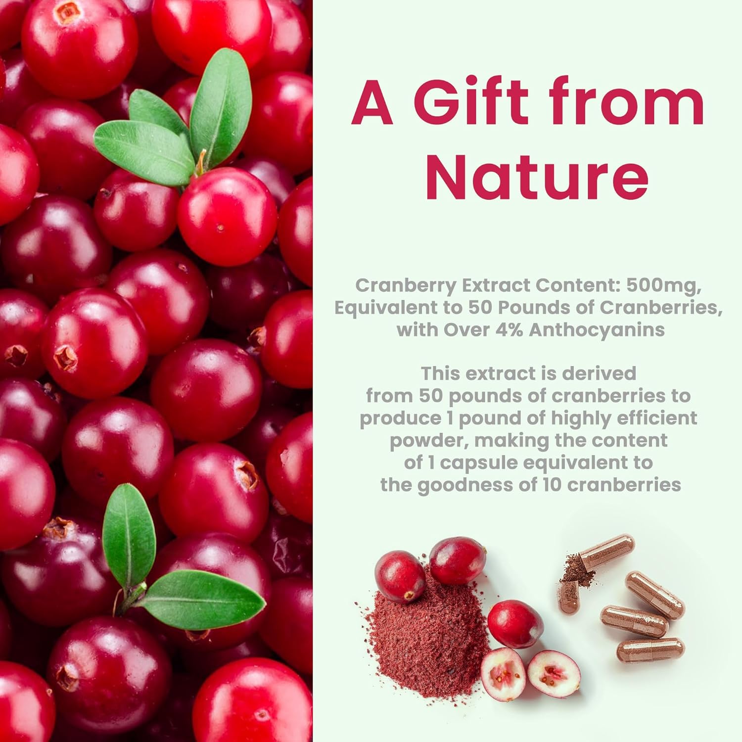 Kidney Cleanse Detox & Repair Supplement with Cranberry Extract - 22-in-1 Formula for Kidney Health and Bladder Support