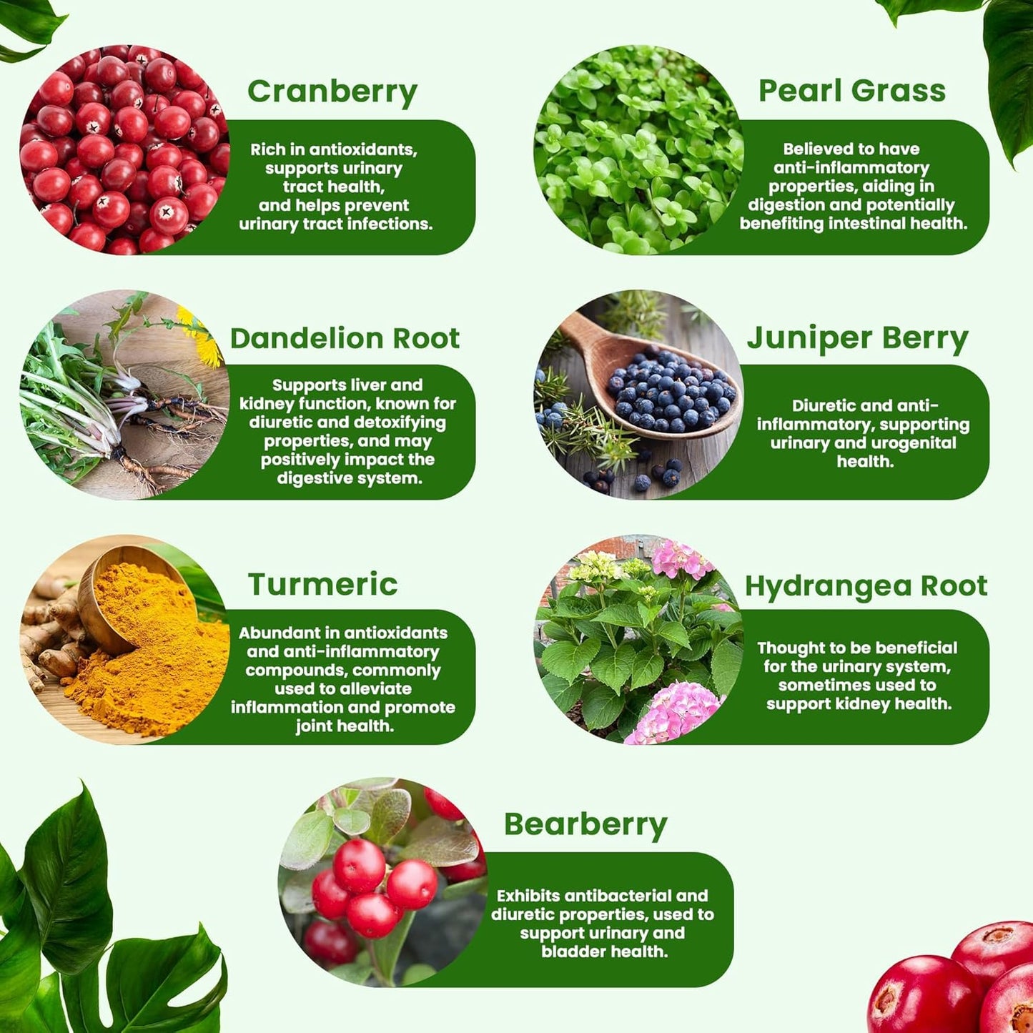 Kidney Cleanse Detox & Repair Supplement with Cranberry Extract - 22-in-1 Formula for Kidney Health and Bladder Support