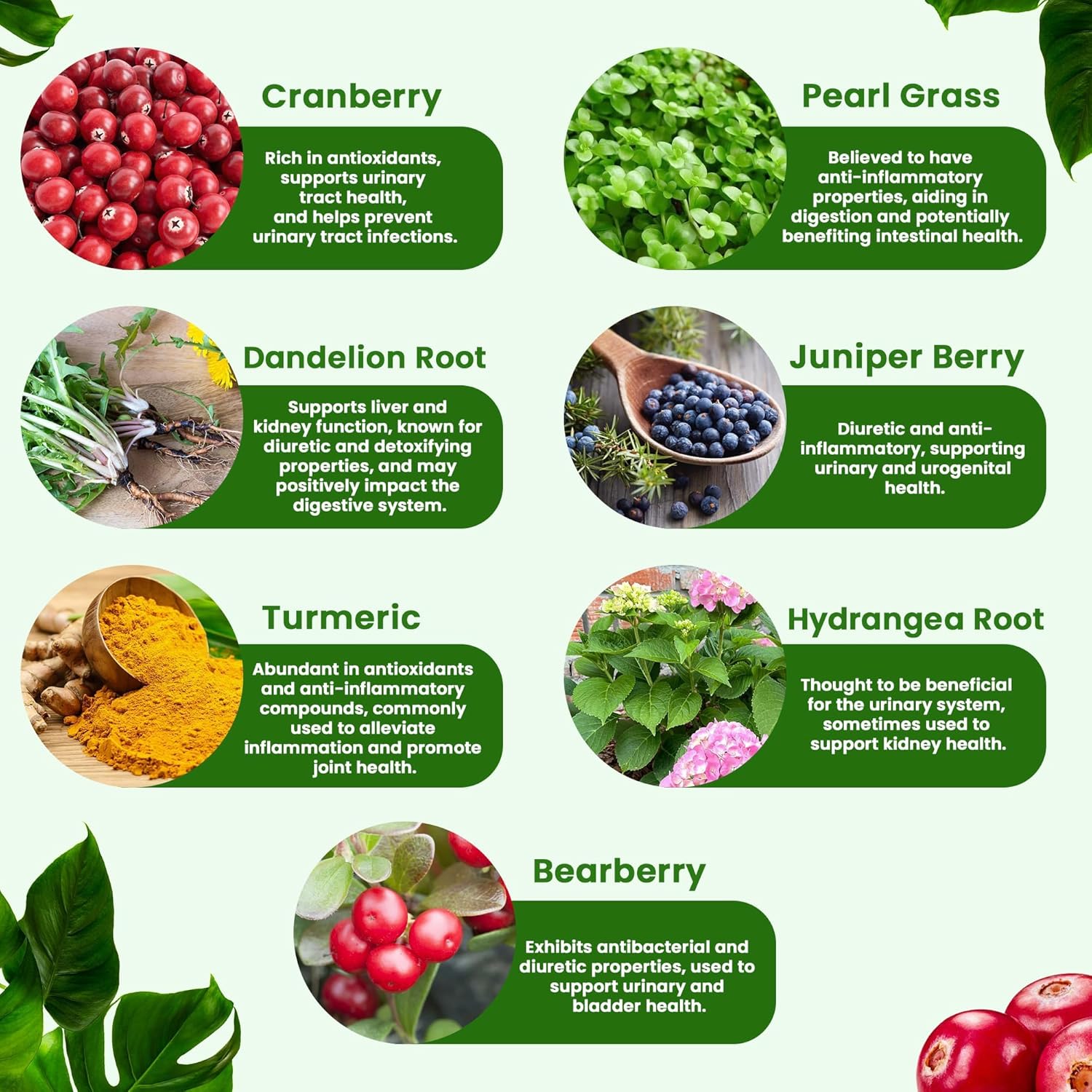 Kidney Cleanse Detox & Repair Supplement with Cranberry Extract - 22-in-1 Formula for Kidney Health and Bladder Support