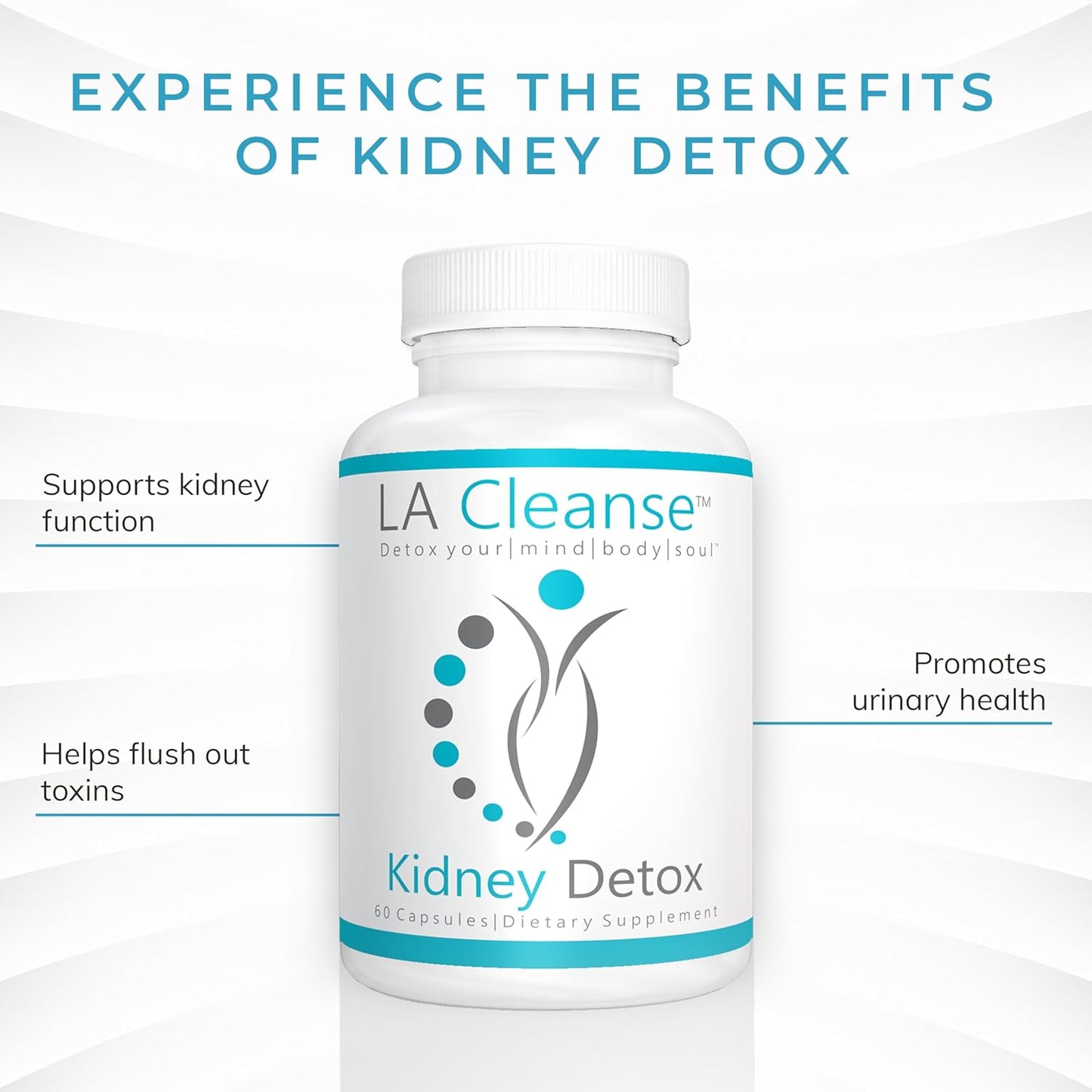 Kidney Cleanse Supplement - 60 Capsules - 200mg Cranberry Extract with Astragalus Root, Uva Ursi, & Chanca Piedra for Urinary Health & Detox