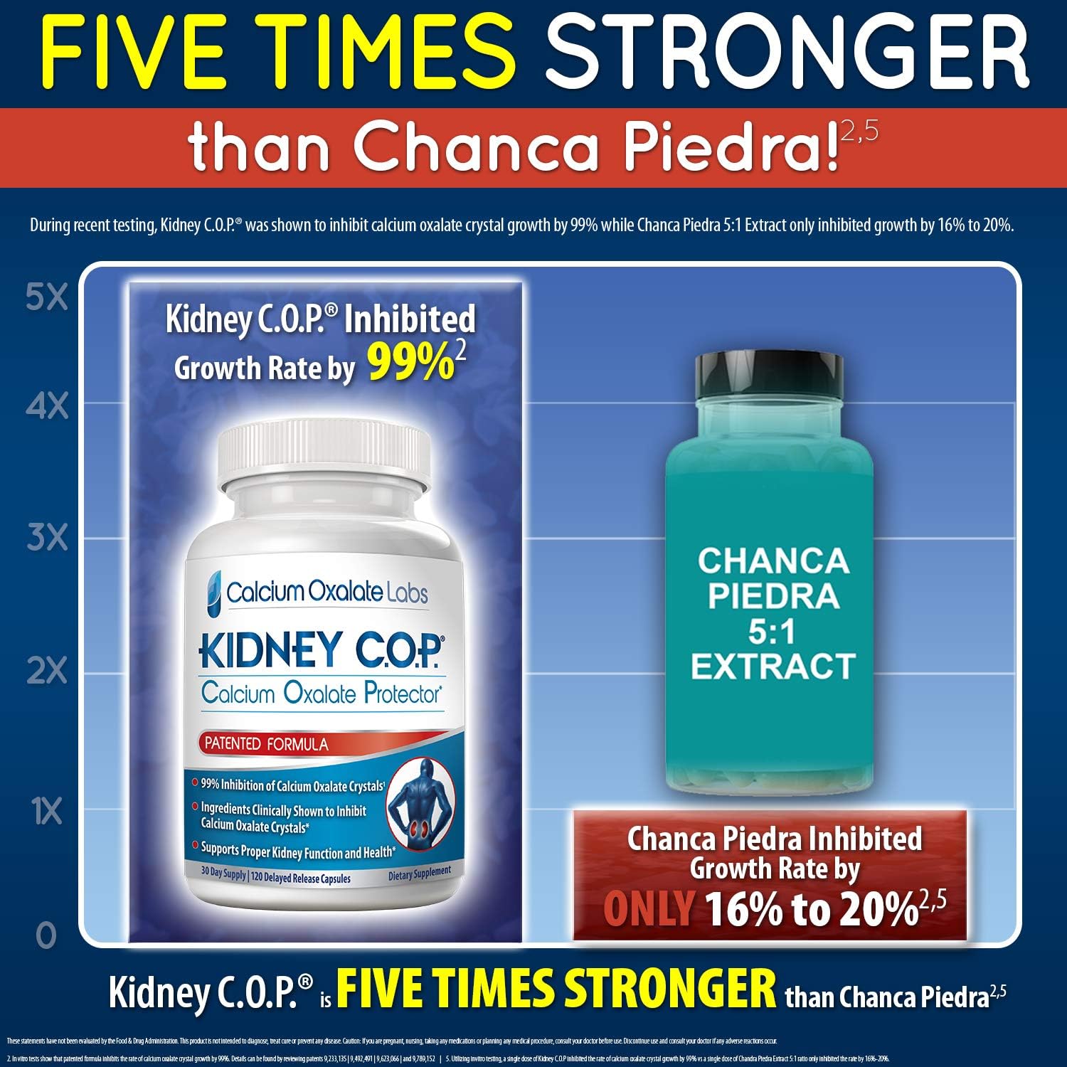 Kidney C.O.P. Calcium Oxalate Protector Capsules - Patented Support for Kidney Stones, Prevent Recurrence of Calcium Oxalate Crystals