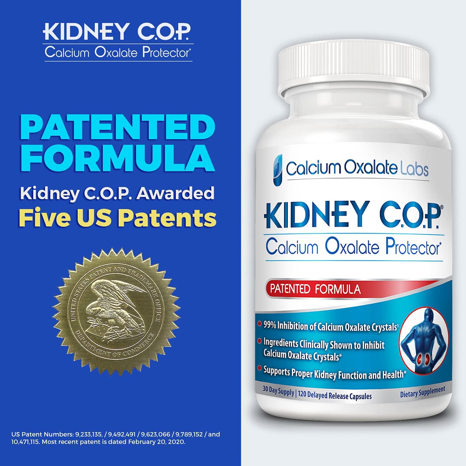 Kidney C.O.P. Calcium Oxalate Protector Capsules - Patented Support for Kidney Stones, Prevent Recurrence of Calcium Oxalate Crystals
