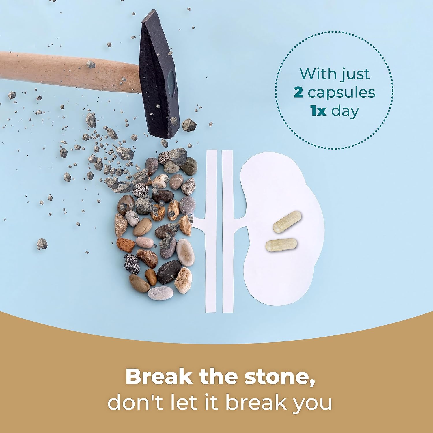 Kidney Health Formula with Chanca Piedra for Ultimate Support - Complete Cleanse Solution for Kidney Stones - 1 Bottle