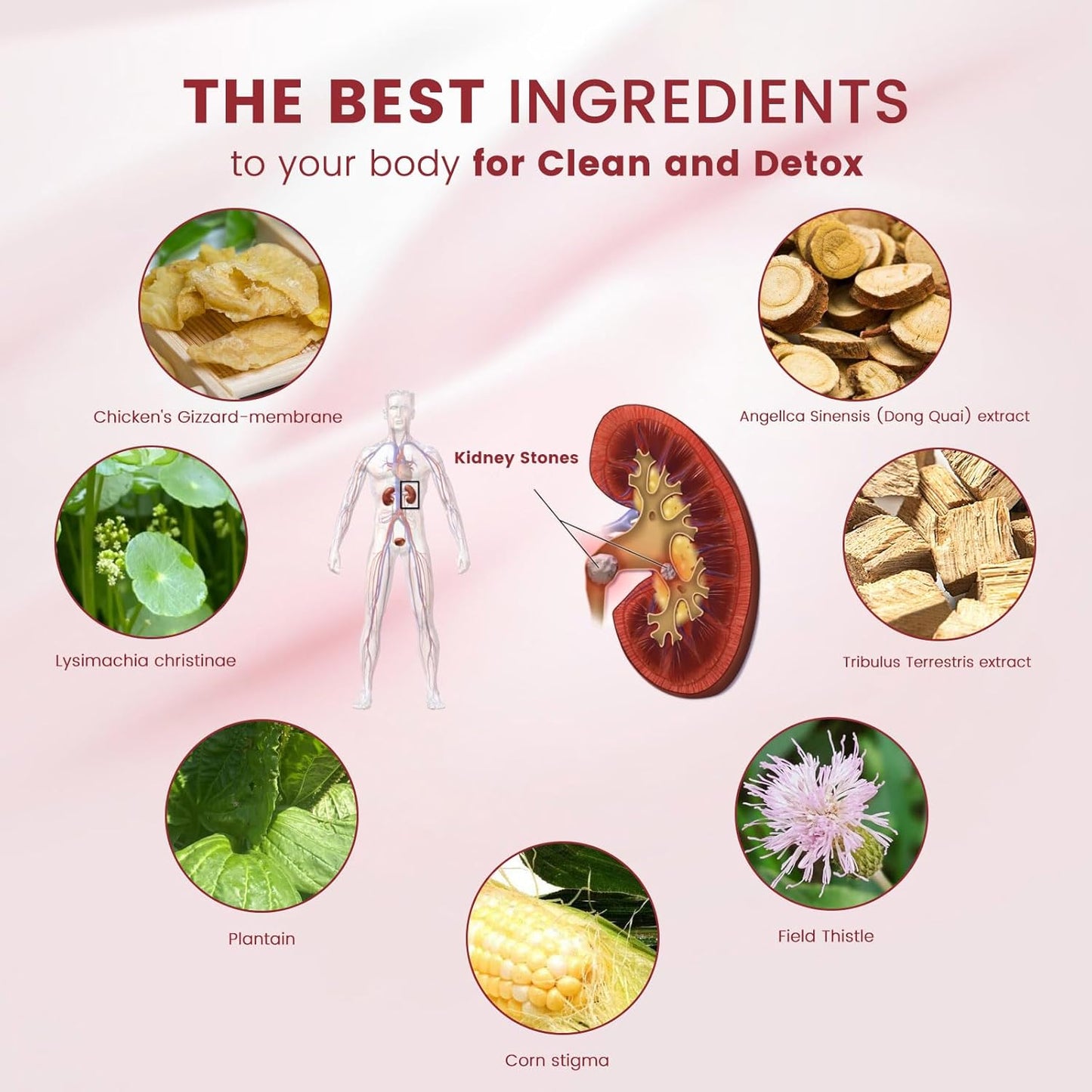 Kidney Stone Cleaning and Health Supplement with Stone Breaker Support, 60 Tablets by Wins Town