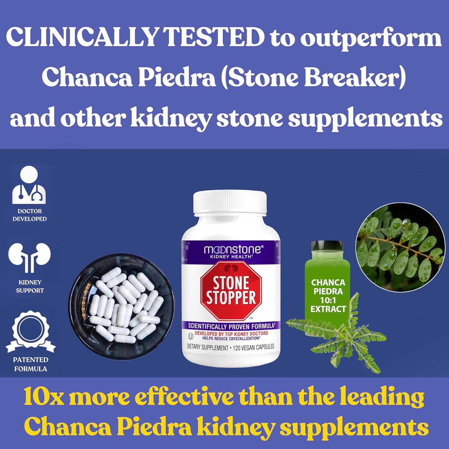 Kidney Stone Prevention Capsules with Moonstone, Calcium Oxalate Protector and Alkali Citrate Support - 30 Day Supply (120 Count)