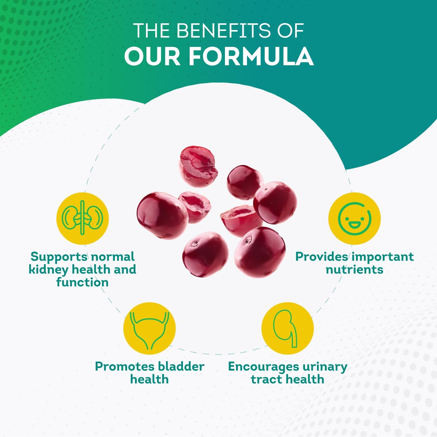 Kidney Support Supplement with Cranberry Extract for Urinary Tract Health - 120 Capsules - 4 Months Supply for Men & Women