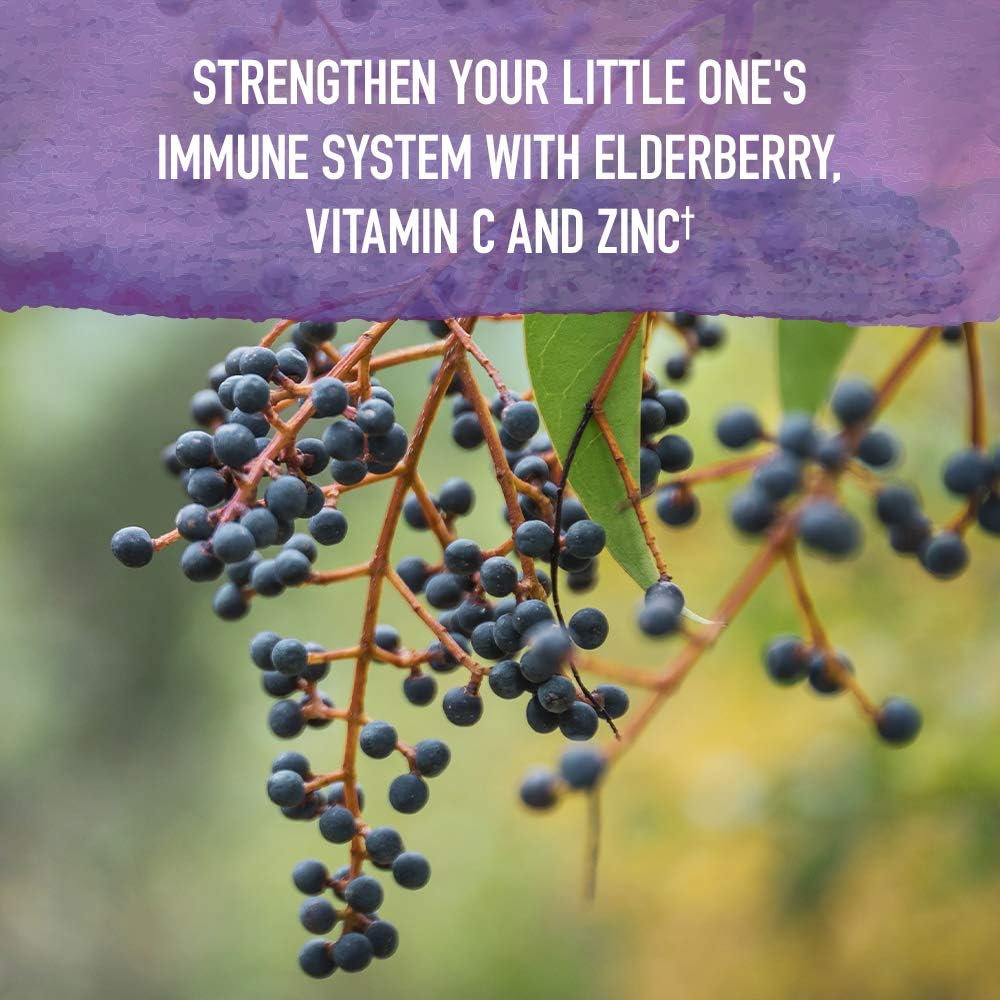 Kids Elderberry & Sleep Immune Syrup Liquid - Garden of Life Organics, Bedtime Herbs for Children, 3.92 fl oz