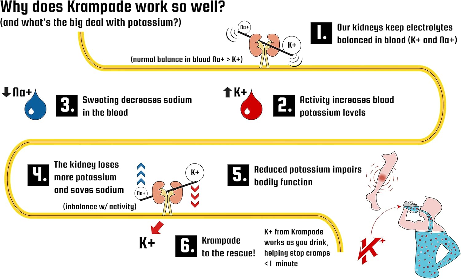 Krampade 2.0 2K Electrolyte Drink Powder: 50mg Magnesium + 2000mg Potassium for Cramp Relief, Faster Recovery, Slower Fatigue, Optimized Hydration - 20 Single-Serving Packets (Fruit Punch)