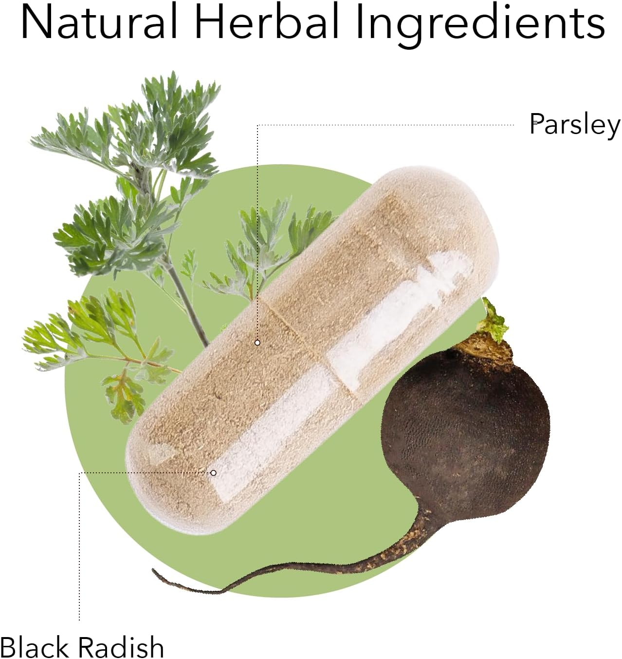 Kroeger Herb Black Radish and Parsley Supplement for Immunity, Liver & Gallbladder Support - Vegetarian, Non-GMO, Gluten Free - Made in USA