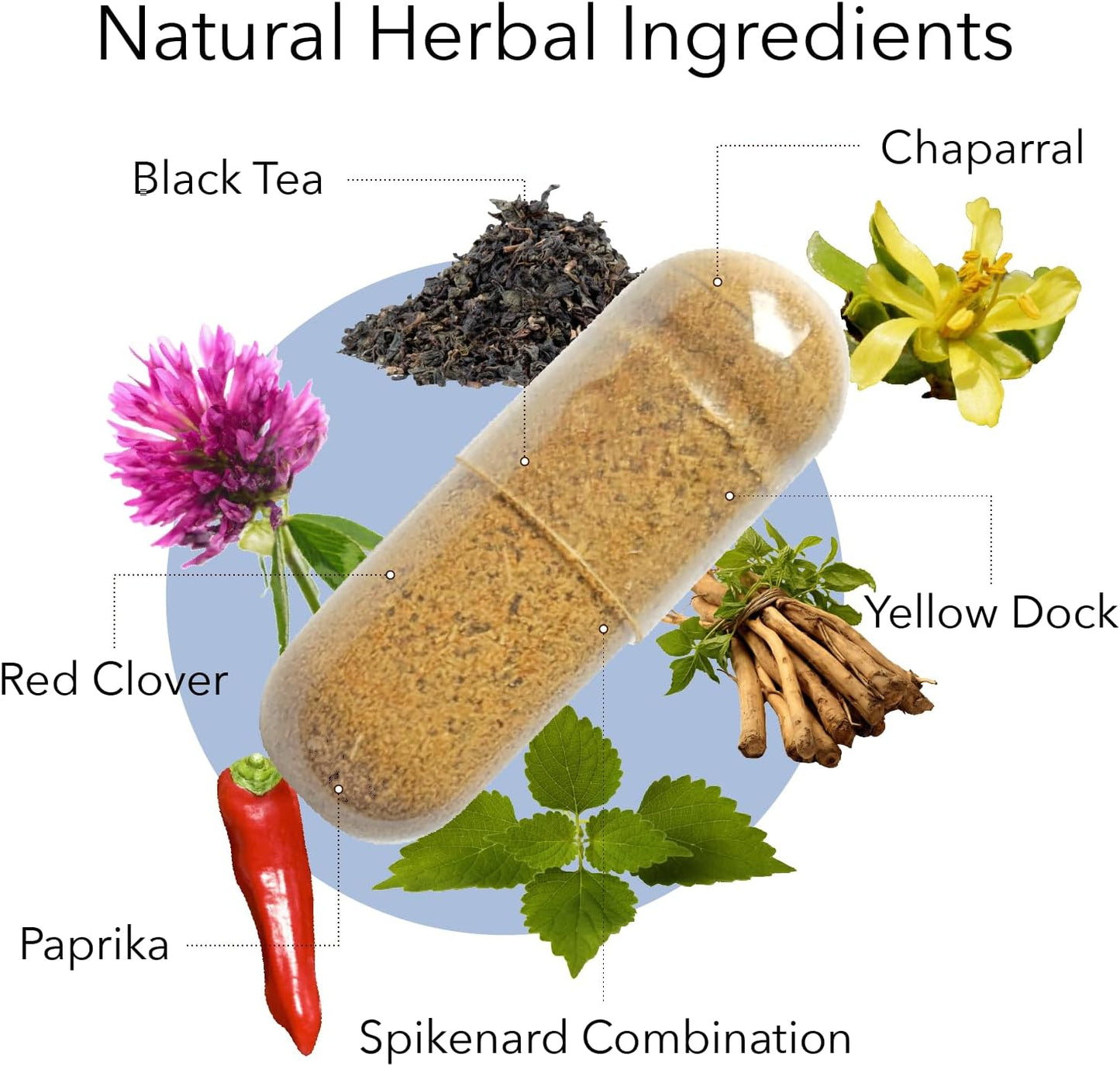 Kroeger Herb Chem X Daily Advanced Detox & Cleansing Formula - Supports Healthy Liver with Red Clover, Yellow Dock, Paprika - Non-GMO, Gluten Free - Made in USA