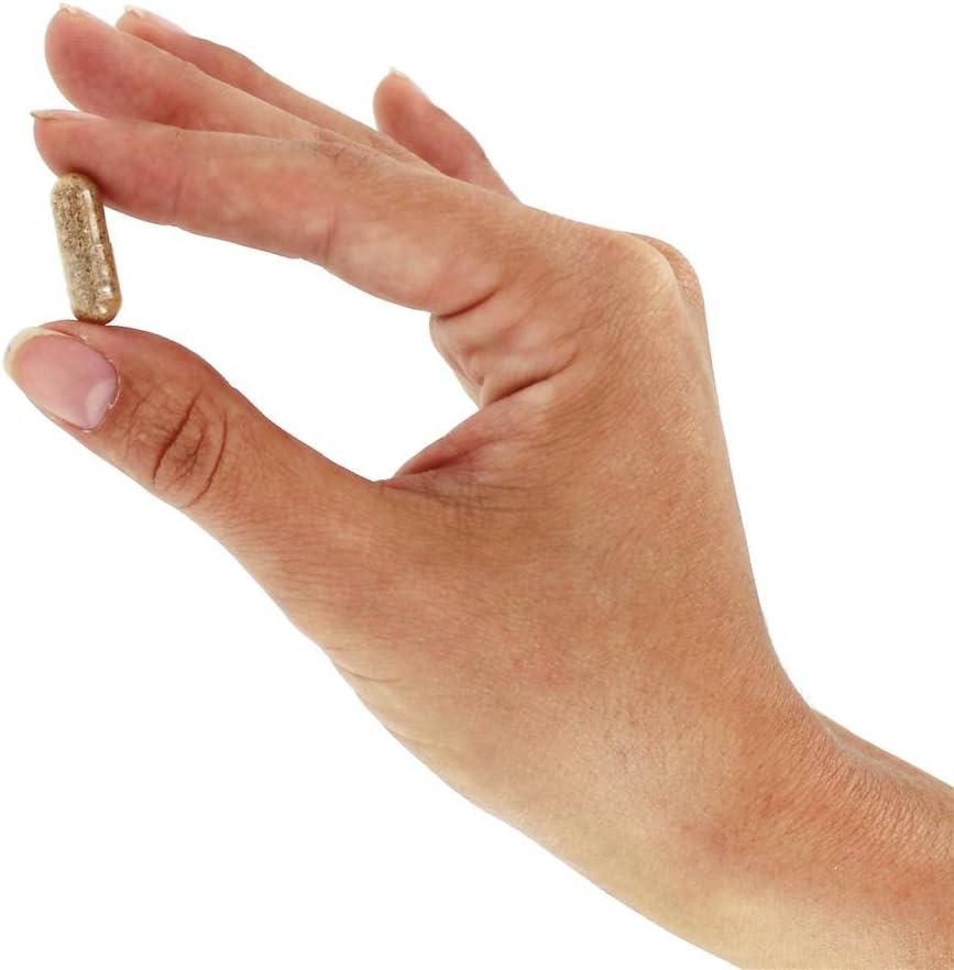 Kroeger Herb Circuflow Capsules - Natural Herbal Supplement for Circulation Support (2 Pack)