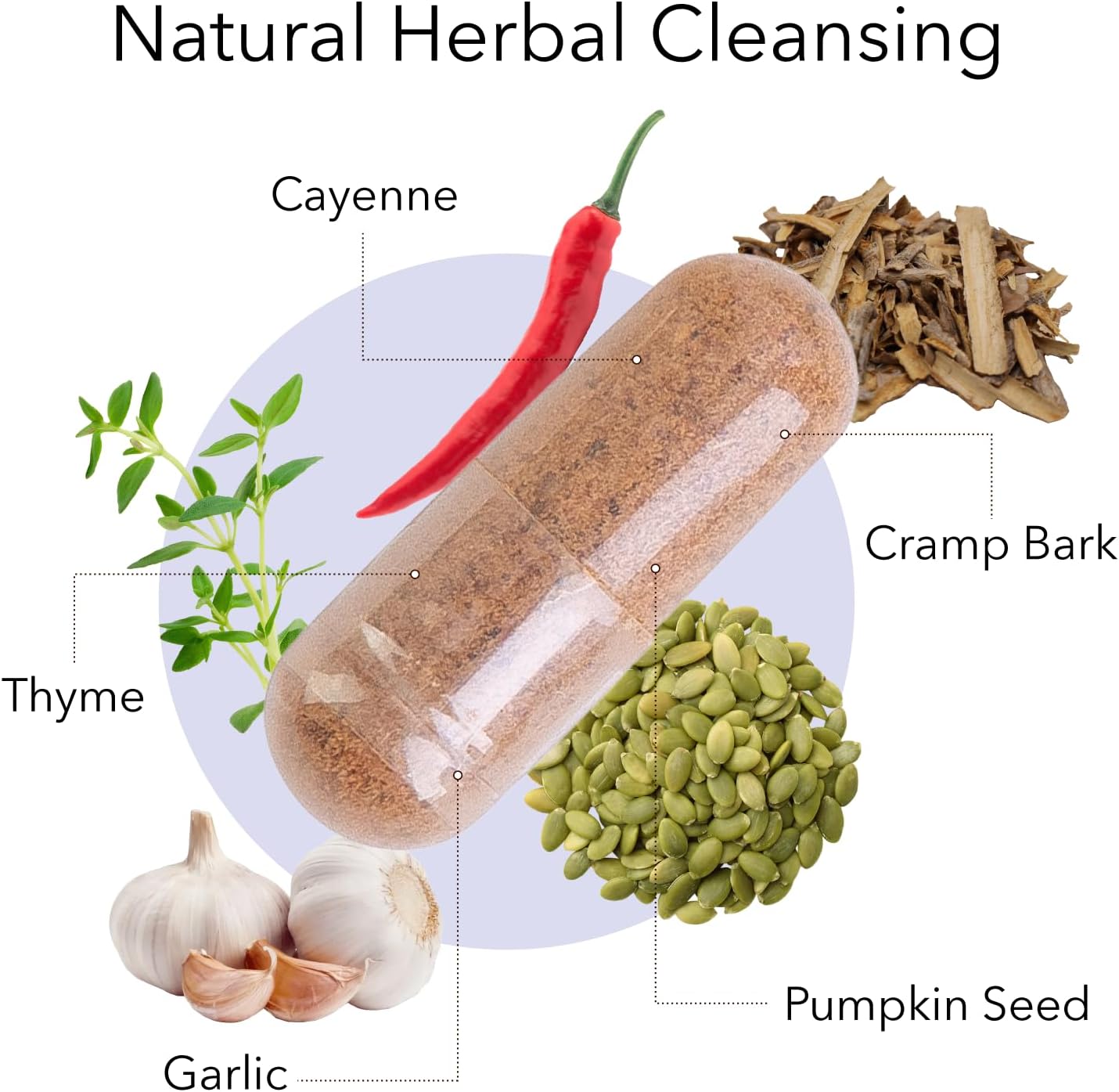 Kroeger Herb Rascal Herbal Supplement for Gut & Heart Health - Garlic, Cayenne, Thyme, Pumpkin Seeds - Vegetarian, Non-GMO, Gluten Free - Supports Microbial Balance - Made in USA